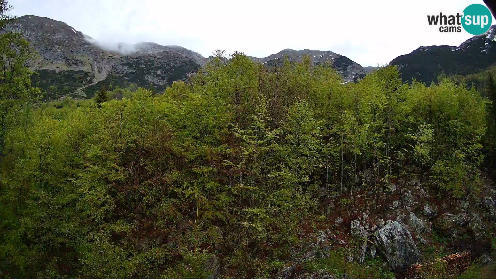 Livecam PLANINA RAZOR (1315) | vue sur Vogel et Globoko