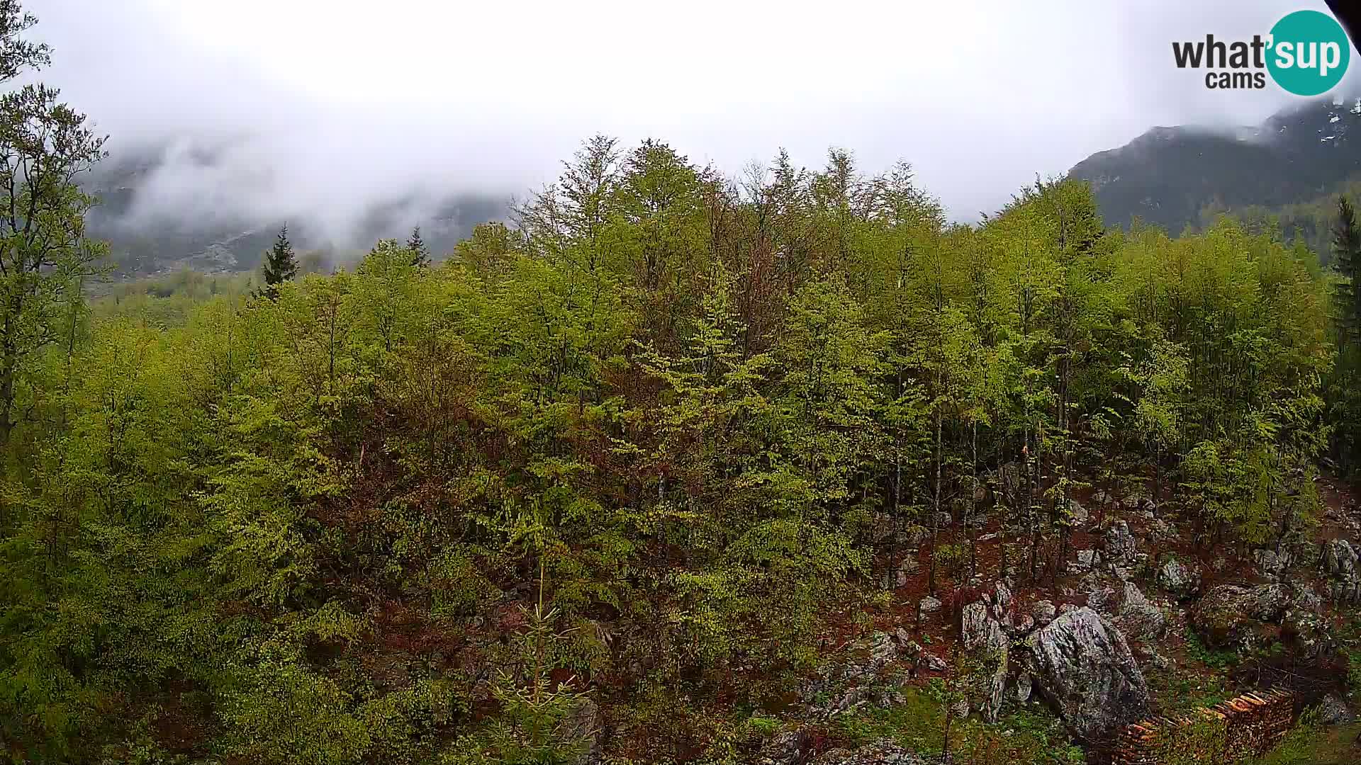 Livecam PLANINA RAZOR (1315) | vue sur Vogel et Globoko