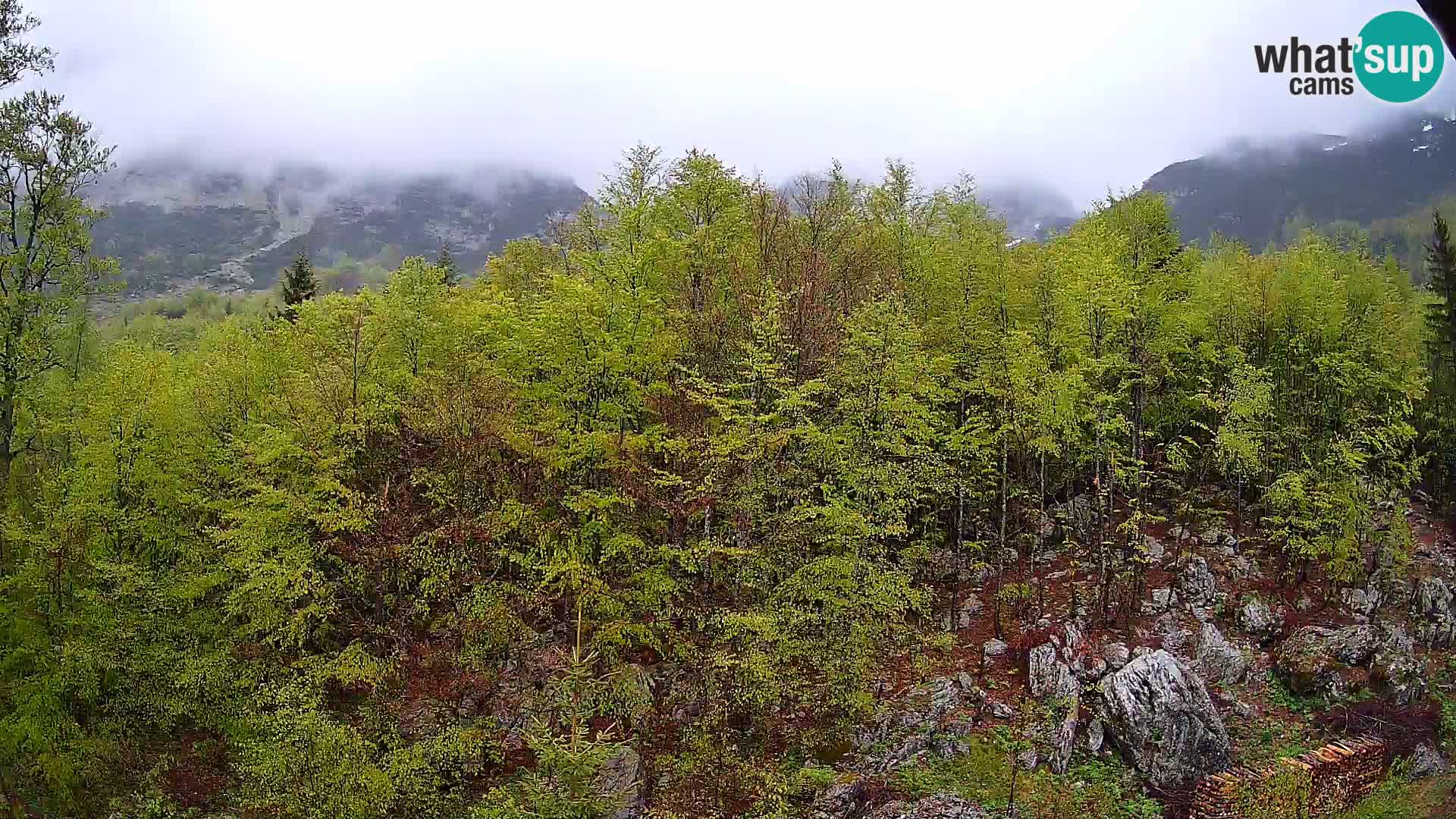 PLANINA RAZOR webcam (1315) | view to Vogel and Globoko