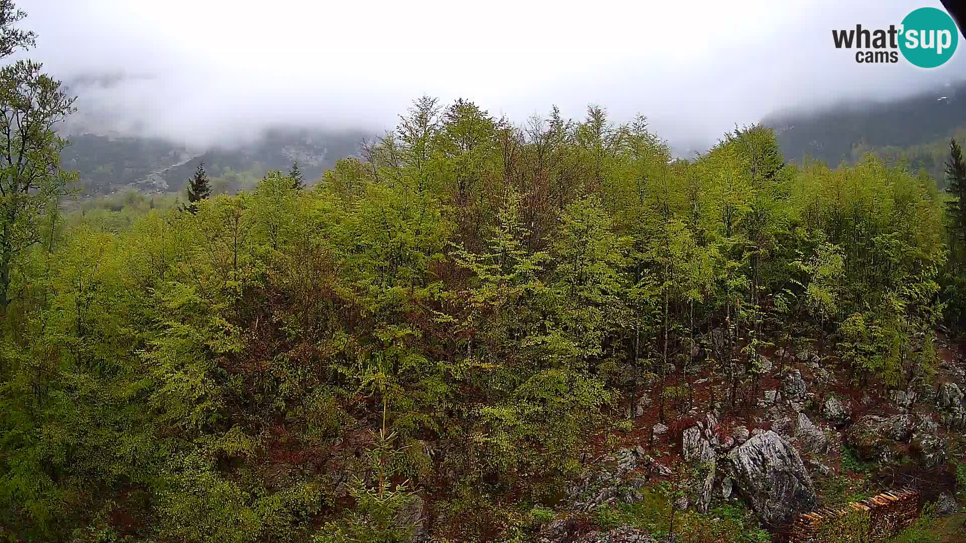 Webcam PLANINA RAZOR (1315) | Blick auf Vogel und Globoko