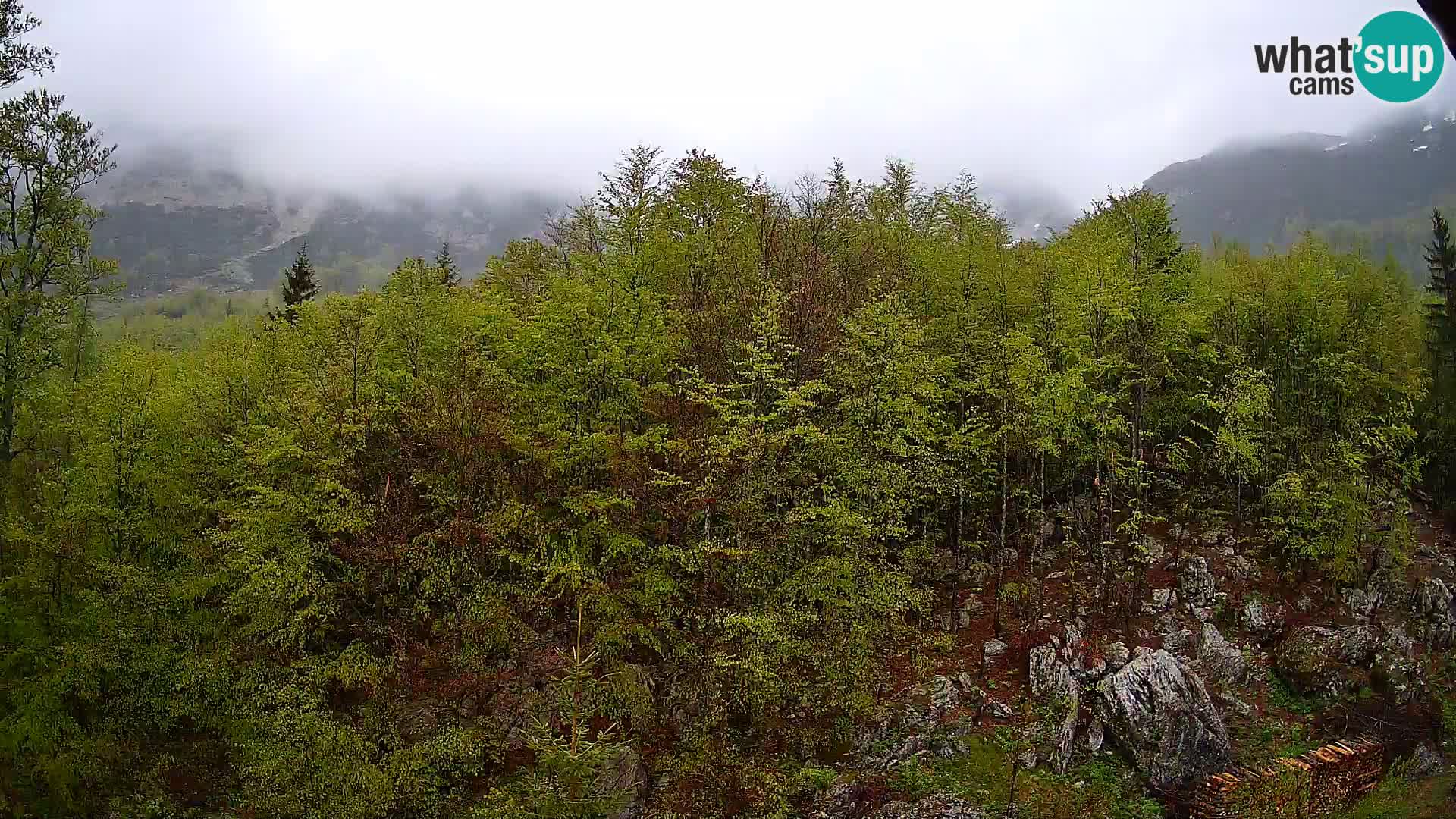 Webcam PLANINA RAZOR (1315) | Blick auf Vogel und Globoko