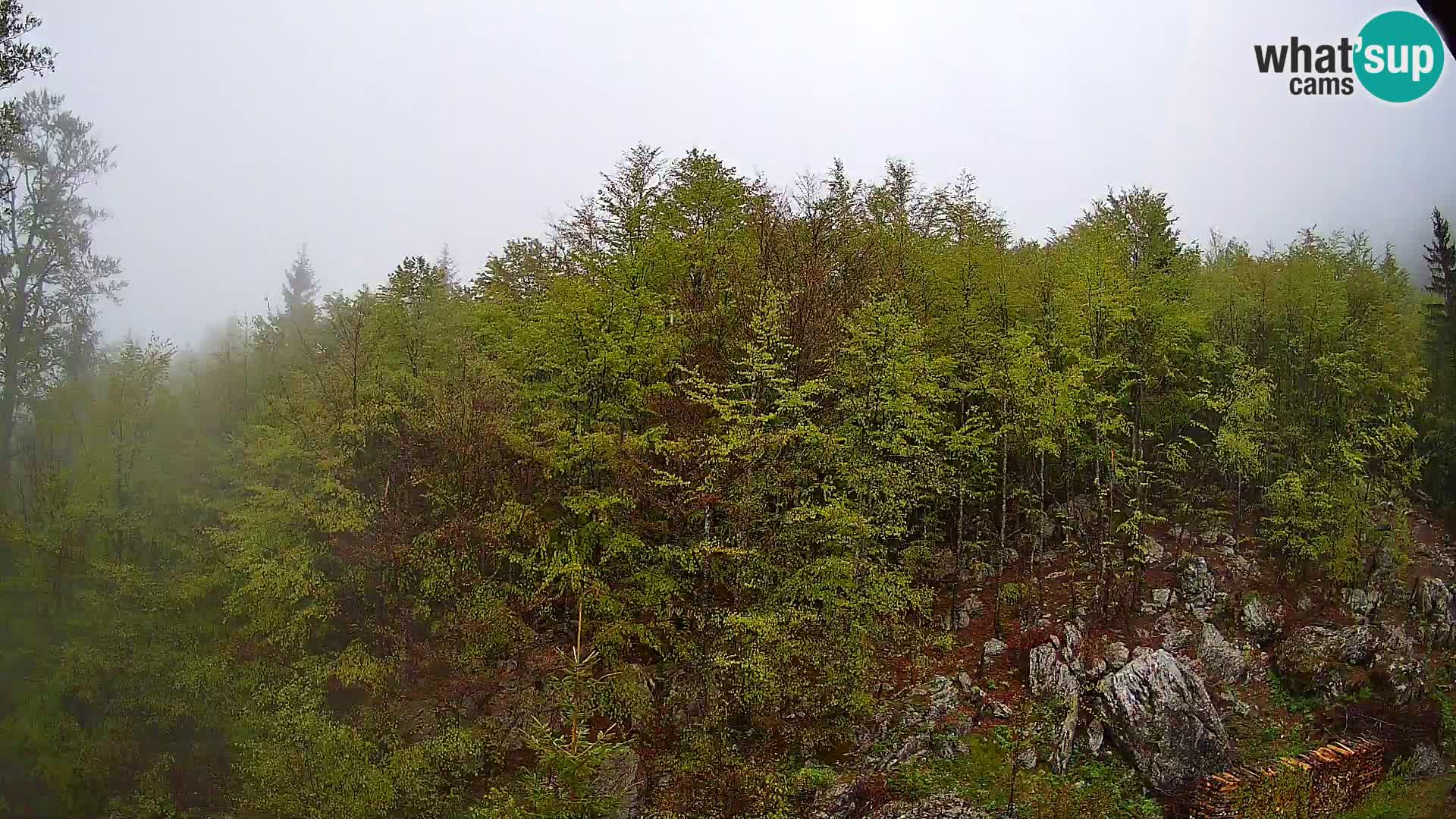 PLANINA RAZOR webcam (1315) | view to Vogel and Globoko
