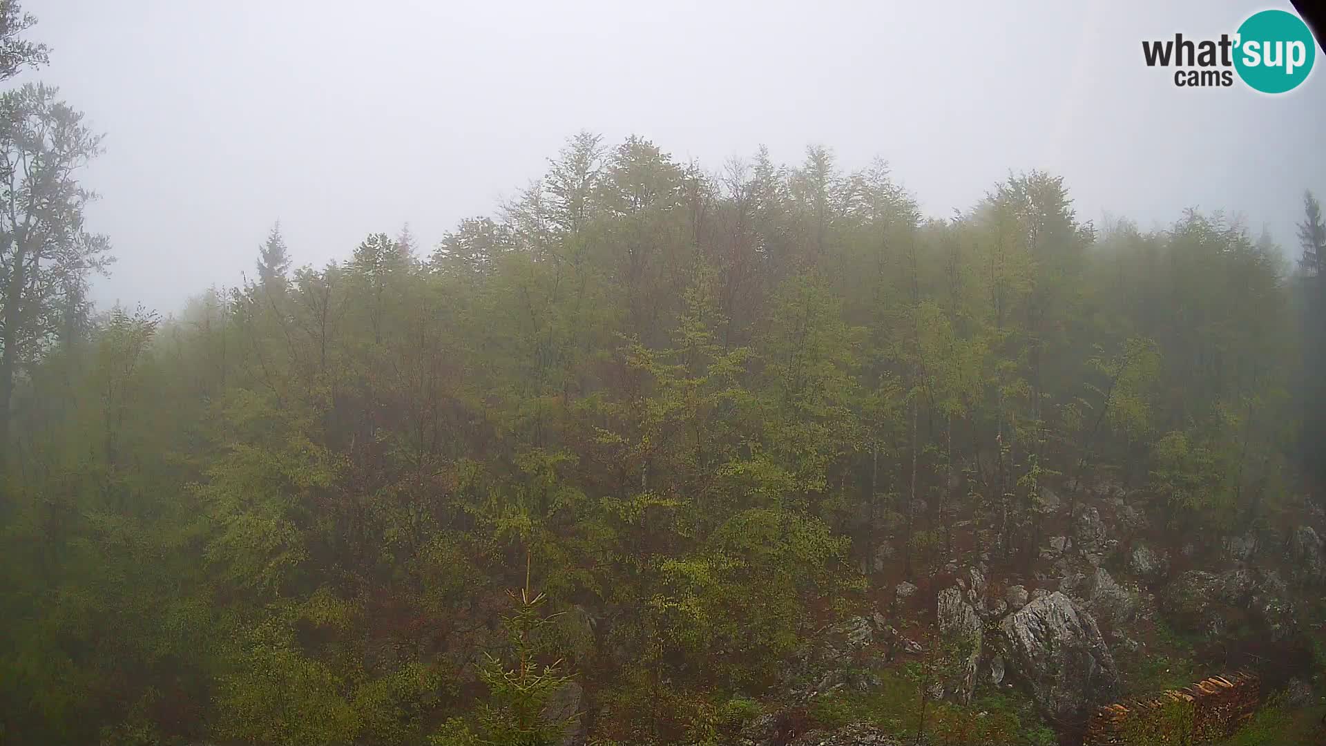 PLANINA RAZOR web kamera (1315) | pogled na Vogel i Globoko