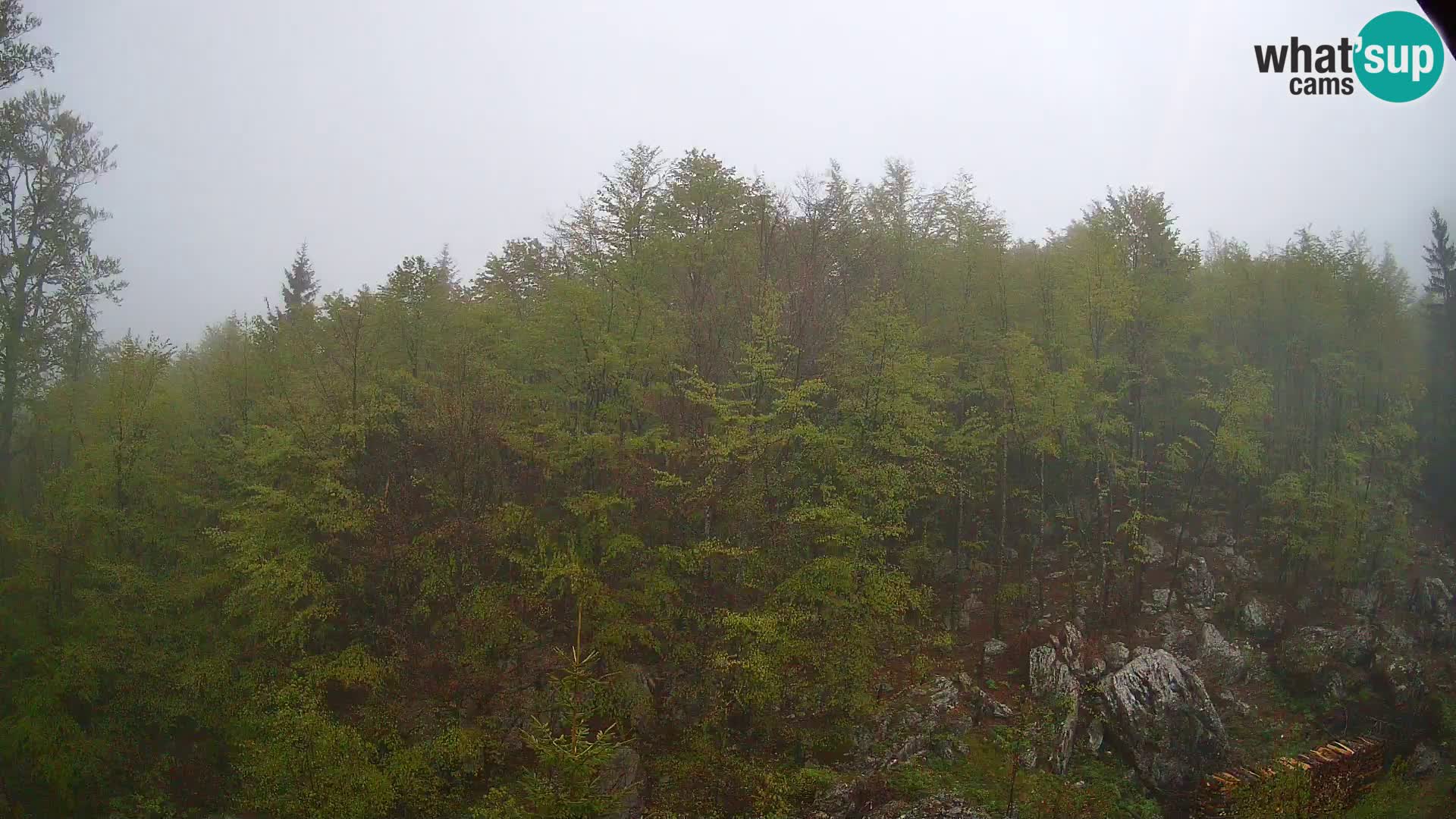PLANINA RAZOR Live Cam (1315) | vista su Vogel e Globoko