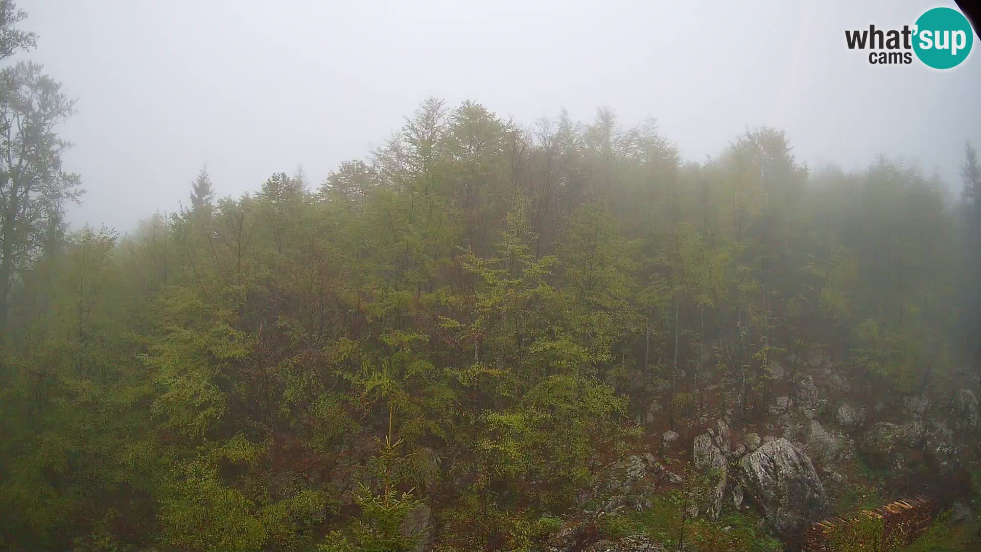 Livecam PLANINA RAZOR (1315) | vue sur Vogel et Globoko