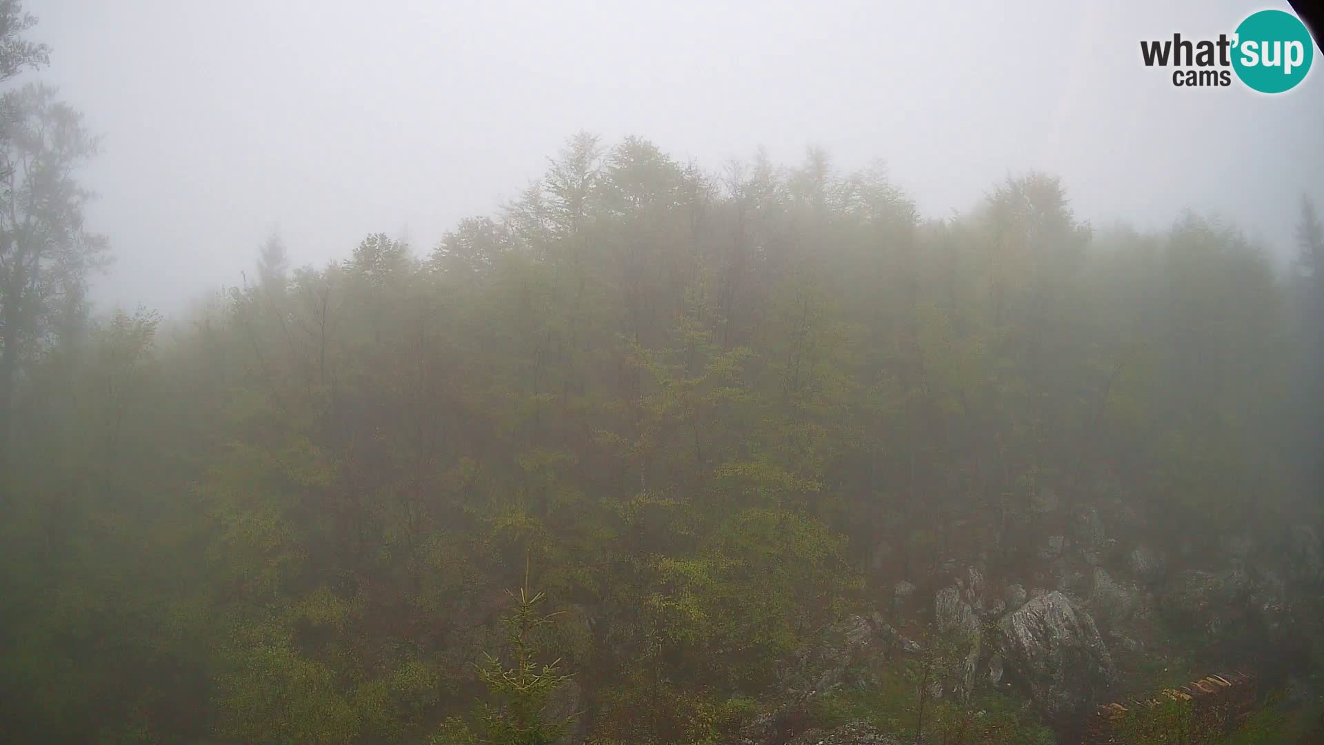 Cámara web PLANINA RAZOR (1315) | vista a Vogel y Globoko
