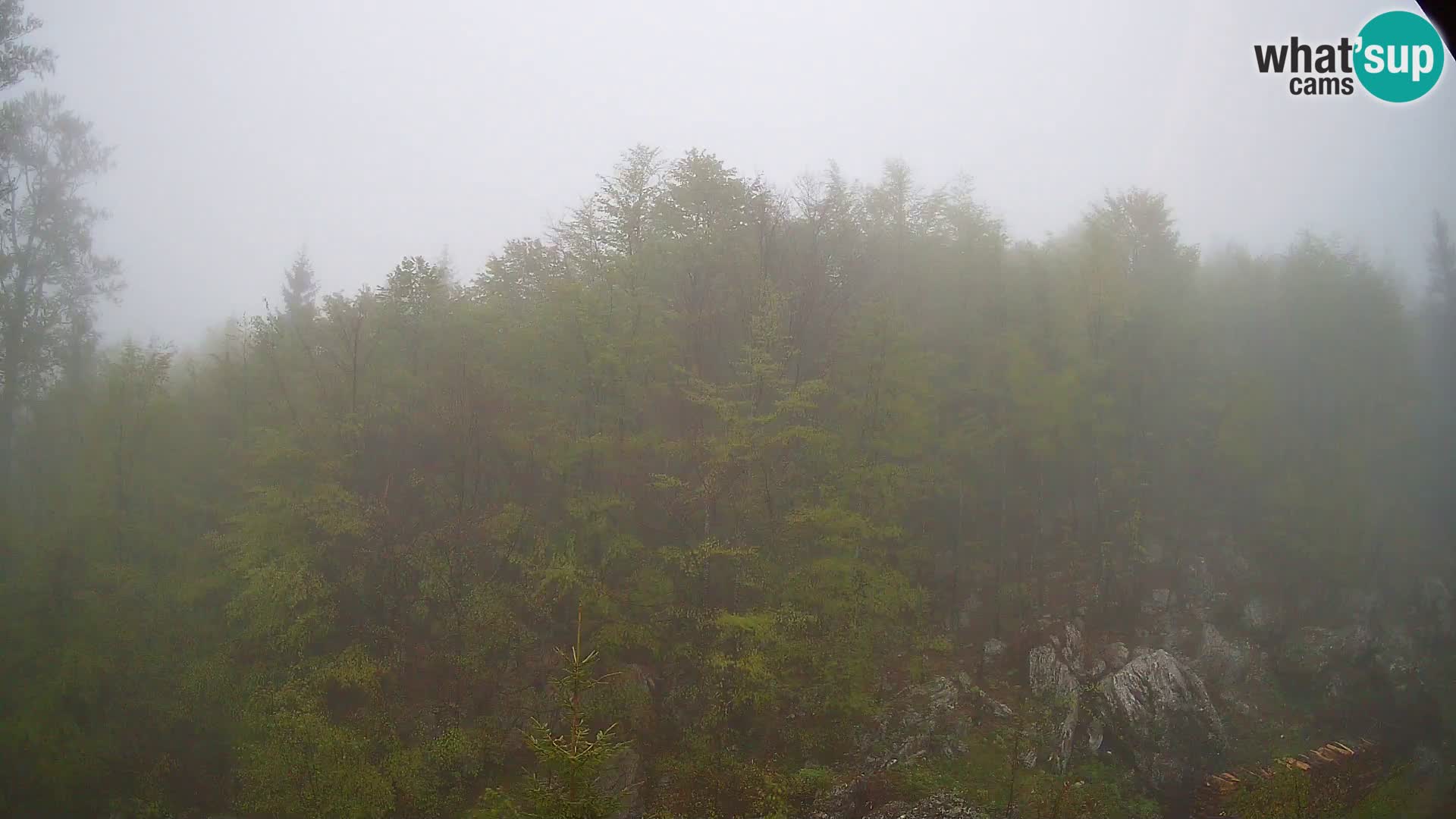 Livecam PLANINA RAZOR (1315) | vue sur Vogel et Globoko