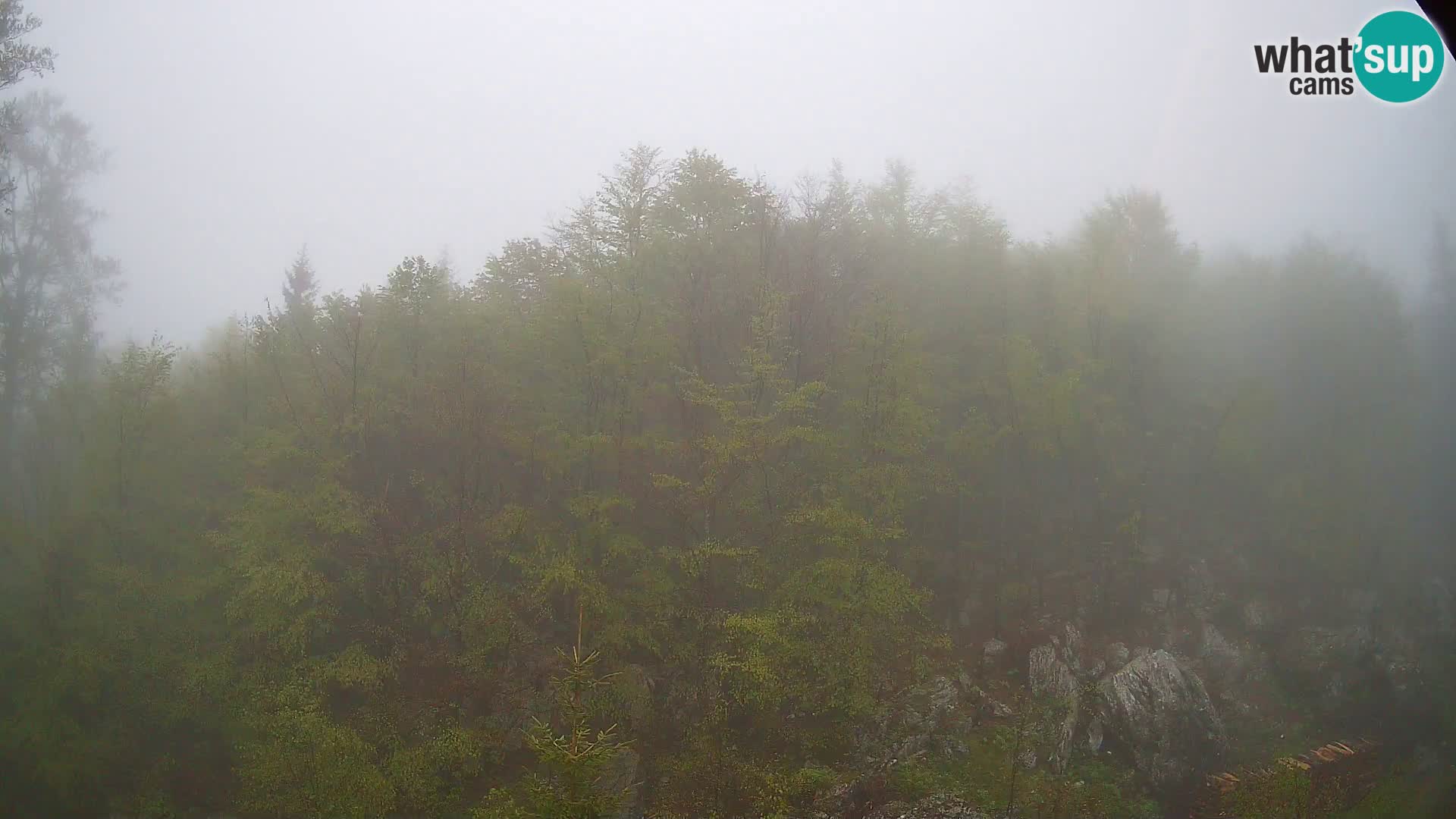 PLANINA RAZOR web kamera (1315) | pogled na Vogel i Globoko