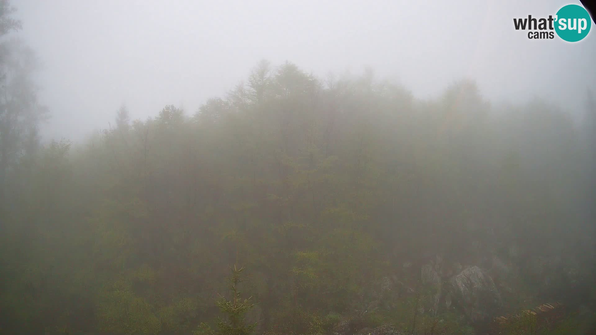 Webcam PLANINA RAZOR (1315) | Blick auf Vogel und Globoko