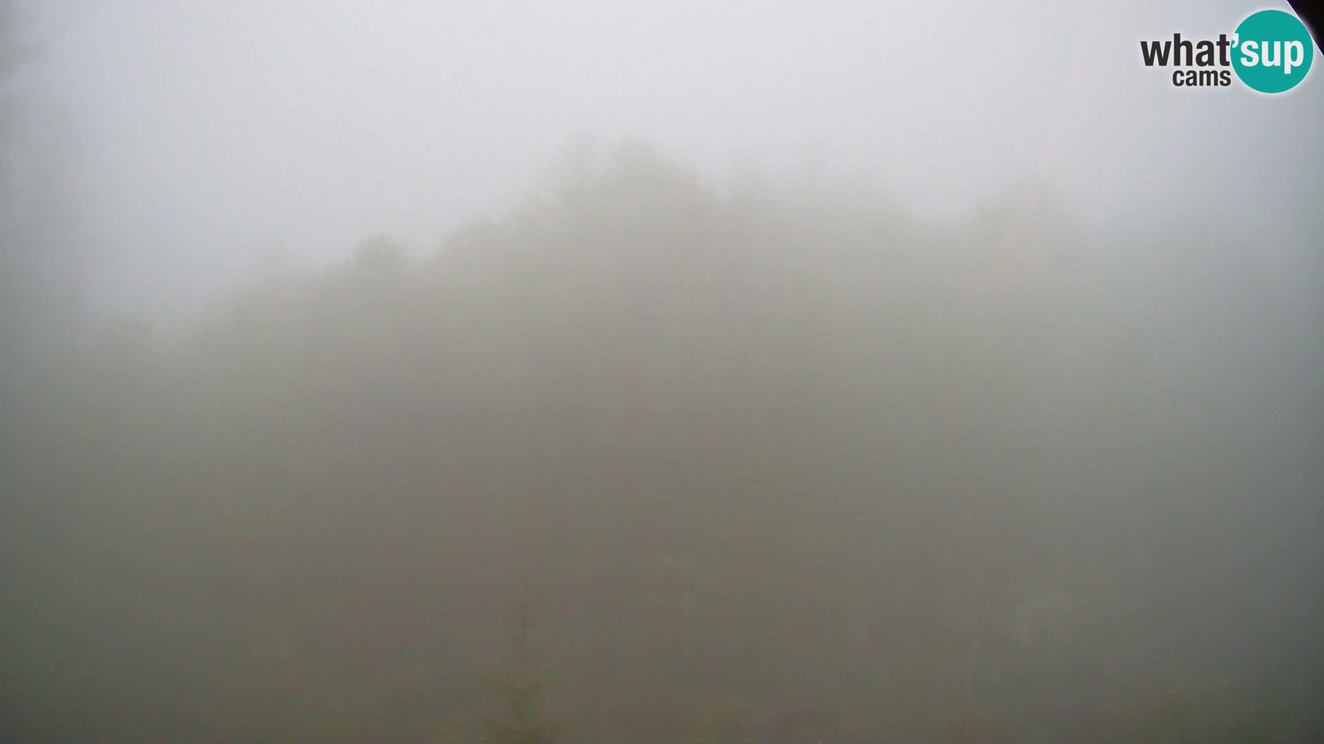 Webcam PLANINA RAZOR (1315) | Blick auf Vogel und Globoko