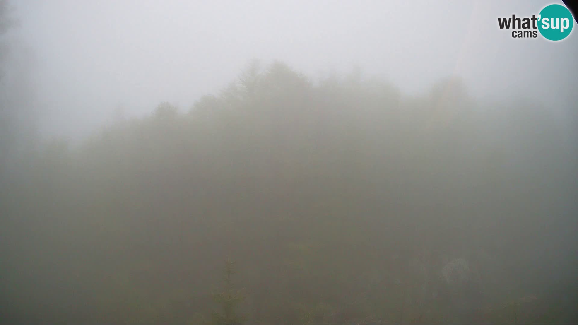 PLANINA RAZOR web kamera (1315) | pogled na Vogel i Globoko