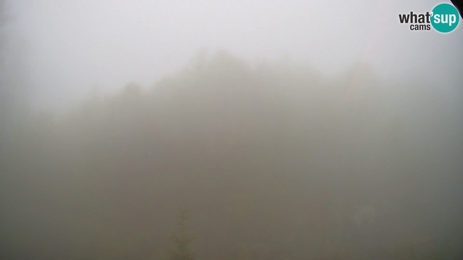 PLANINA RAZOR web kamera (1315) | pogled na Vogel i Globoko