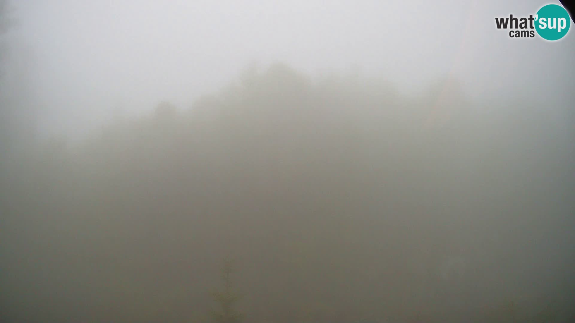 PLANINA RAZOR web kamera (1315) | pogled na Vogel i Globoko