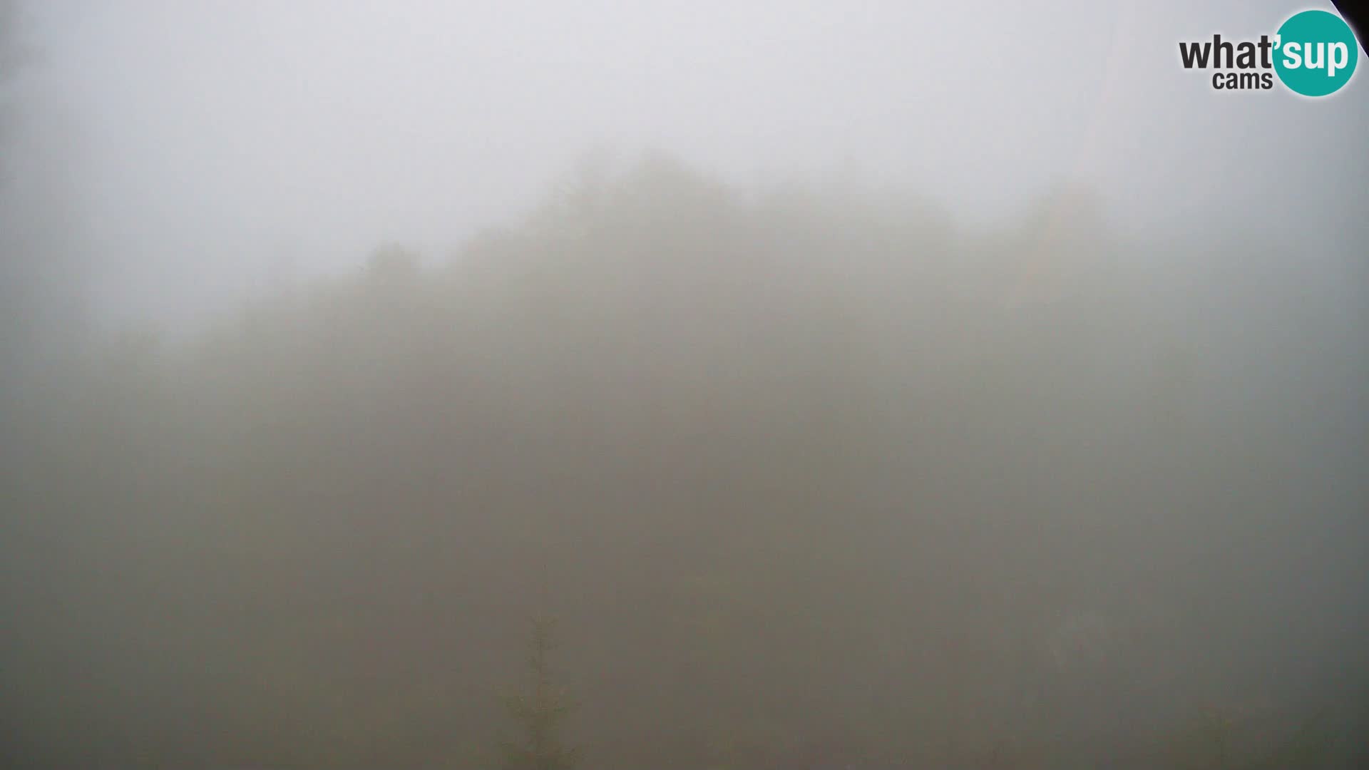 PLANINA RAZOR kamera (1315) | pogled na Vogel in Globoko