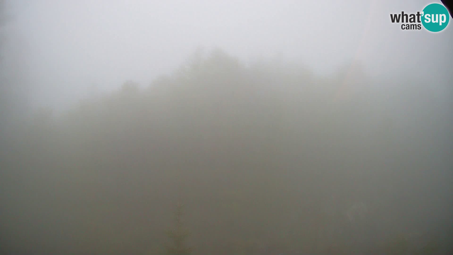 PLANINA RAZOR kamera (1315) | pogled na Vogel in Globoko