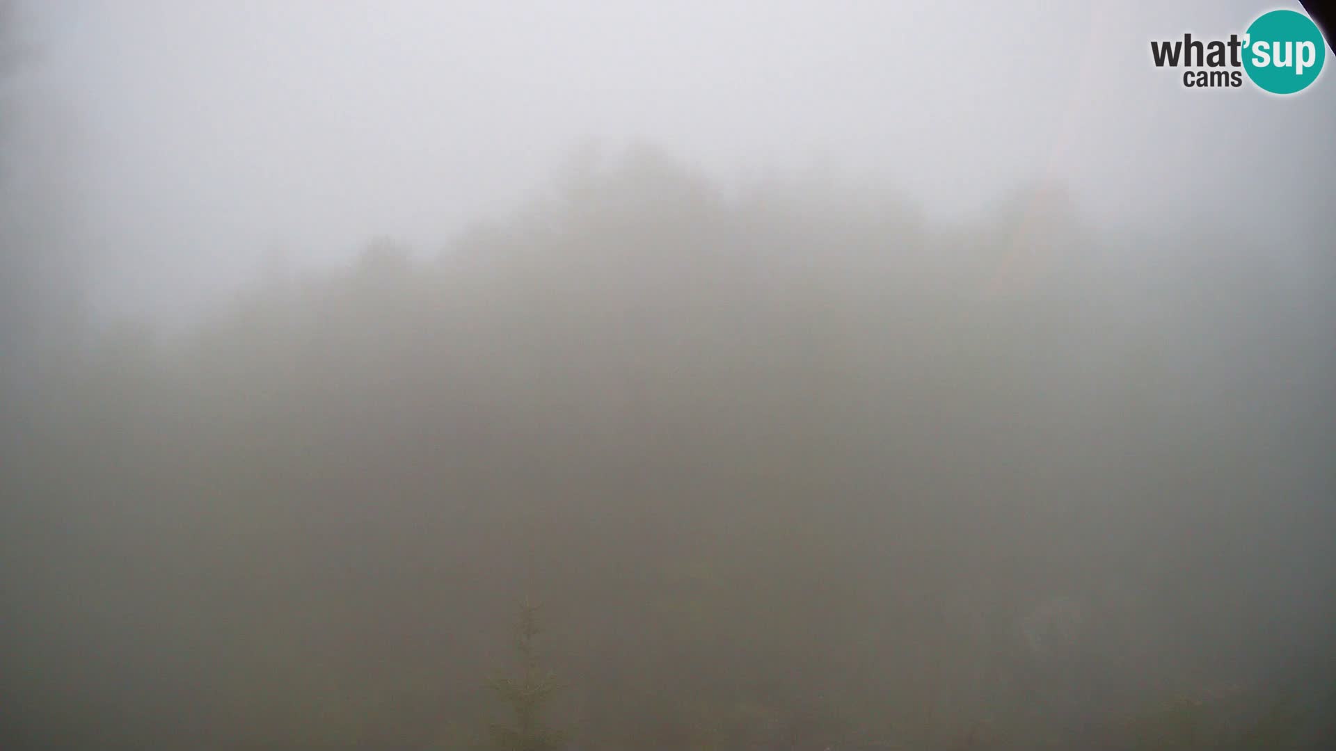 PLANINA RAZOR webcam (1315) | view to Vogel and Globoko