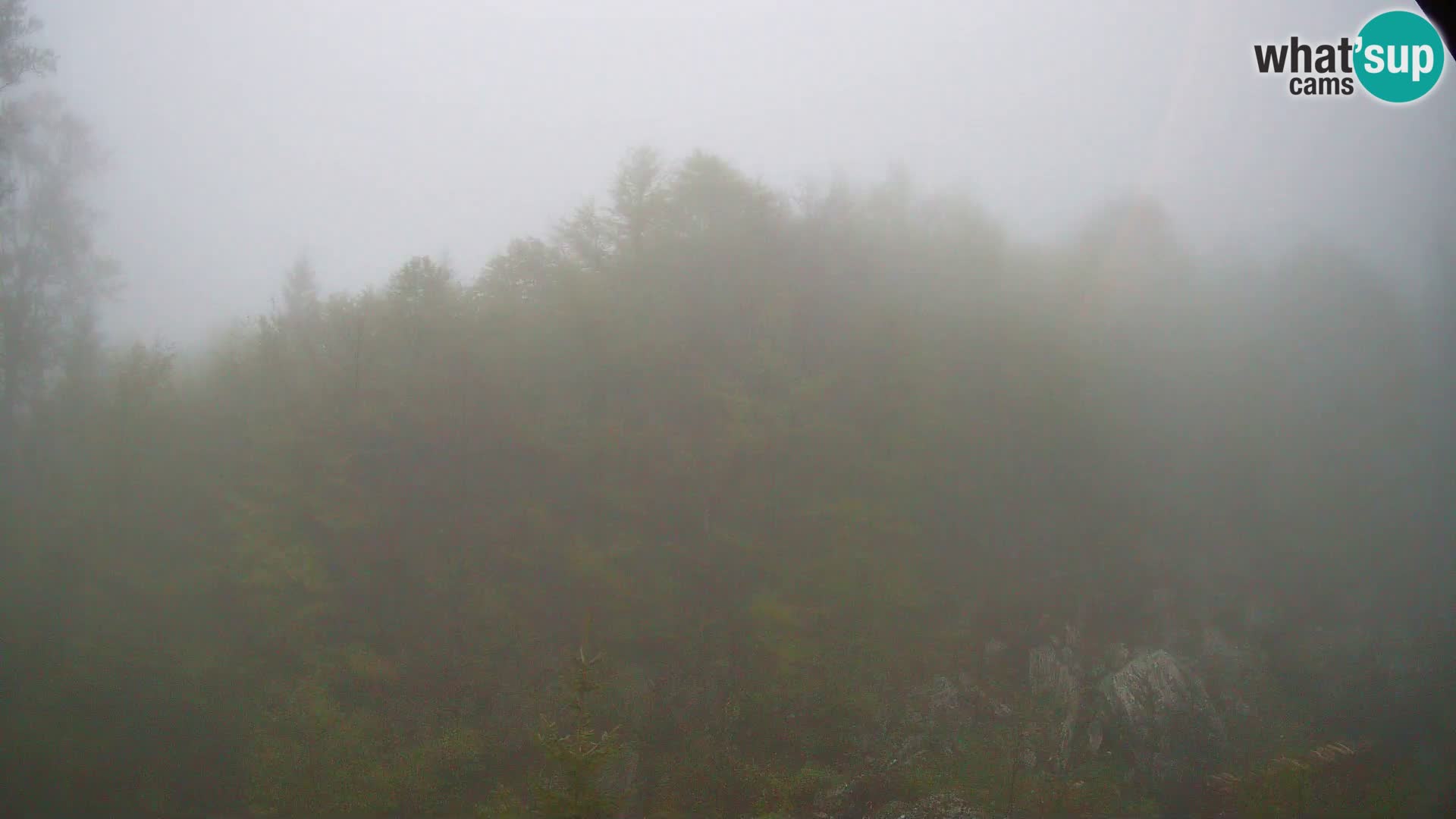 Livecam PLANINA RAZOR (1315) | vue sur Vogel et Globoko