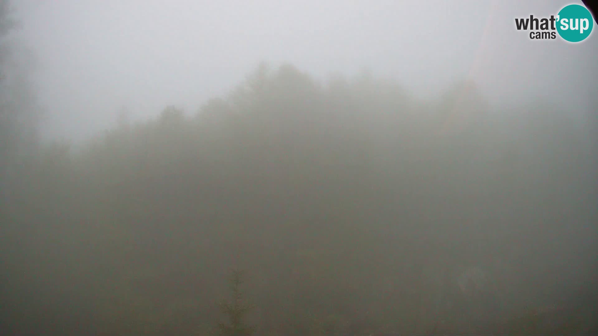 Webcam PLANINA RAZOR (1315) | Blick auf Vogel und Globoko