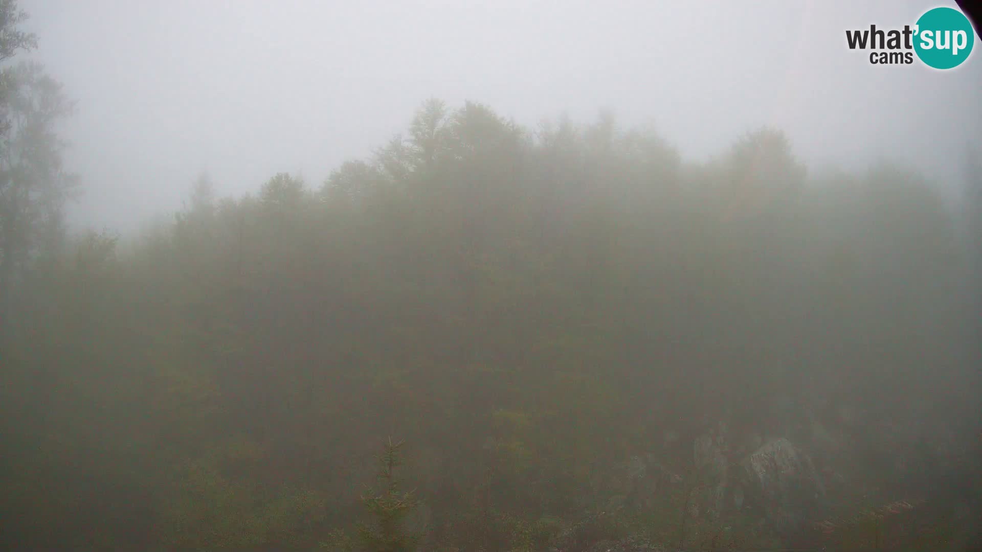 PLANINA RAZOR webcam (1315) | view to Vogel and Globoko