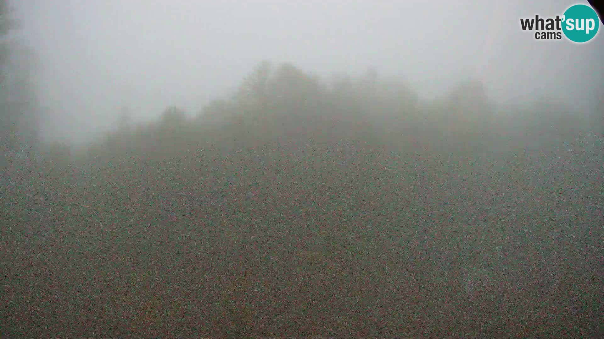 PLANINA RAZOR Live Cam (1315) | vista su Vogel e Globoko