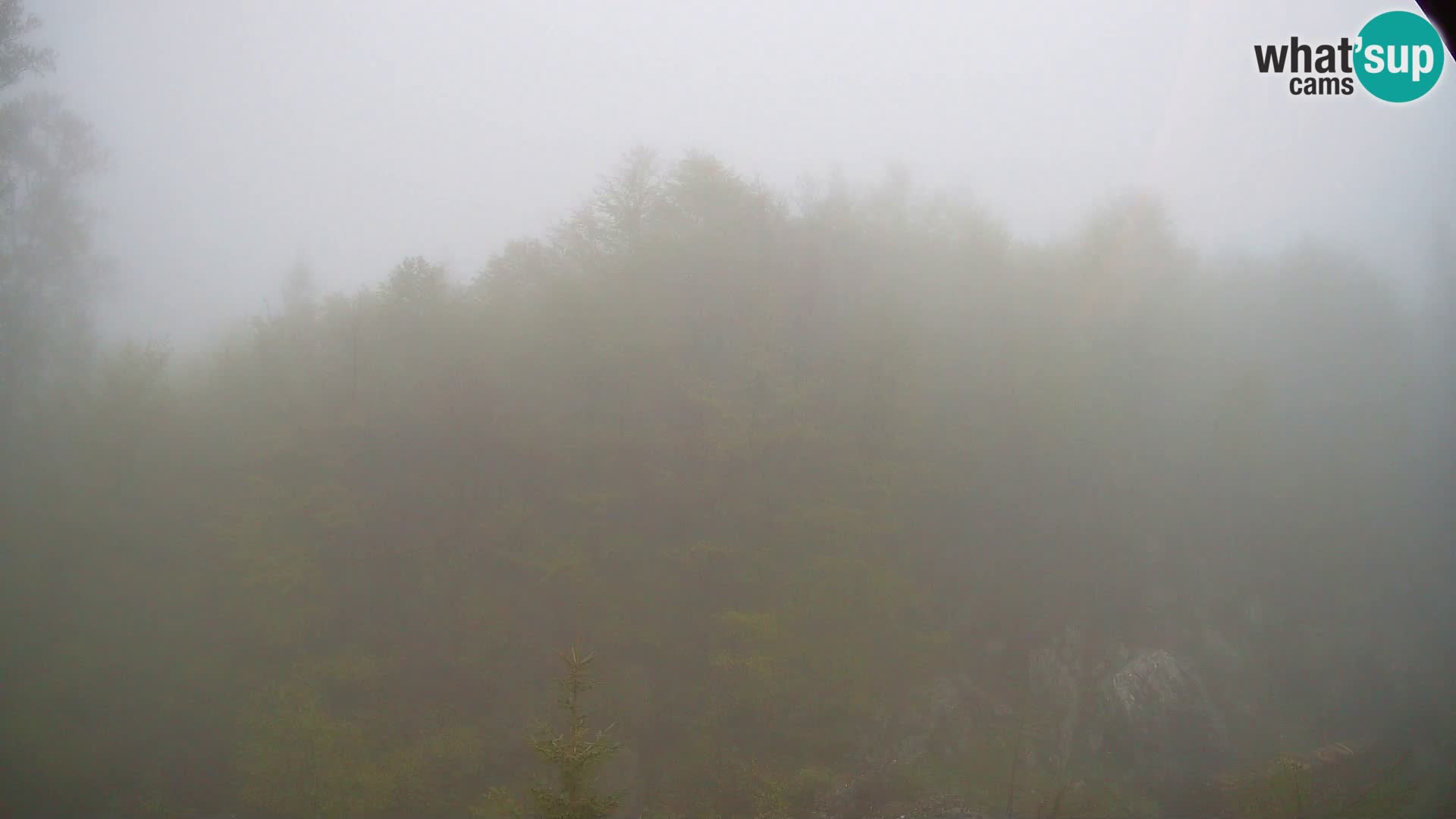 Livecam PLANINA RAZOR (1315) | vue sur Vogel et Globoko