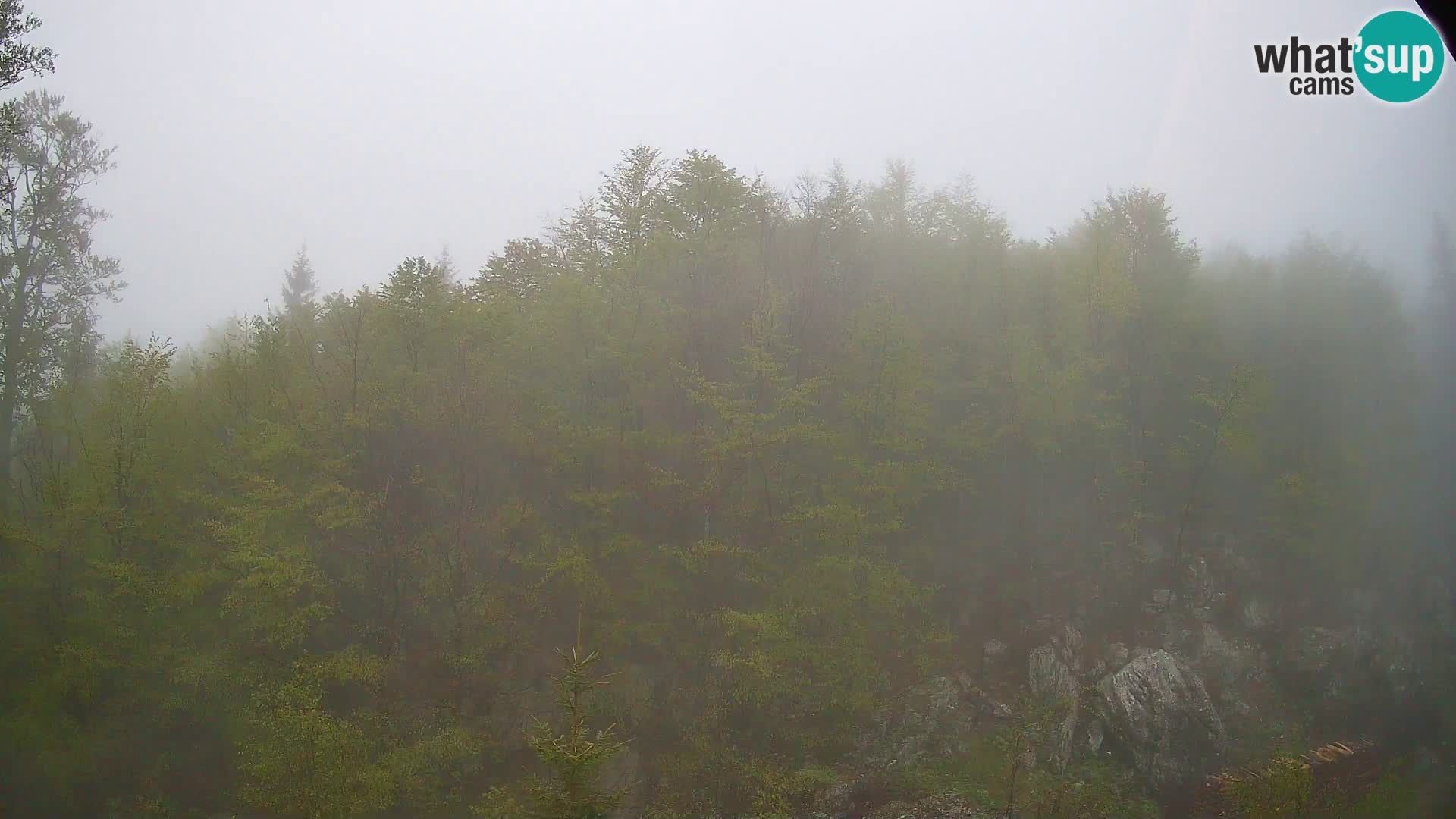 PLANINA RAZOR webcam (1315) | view to Vogel and Globoko