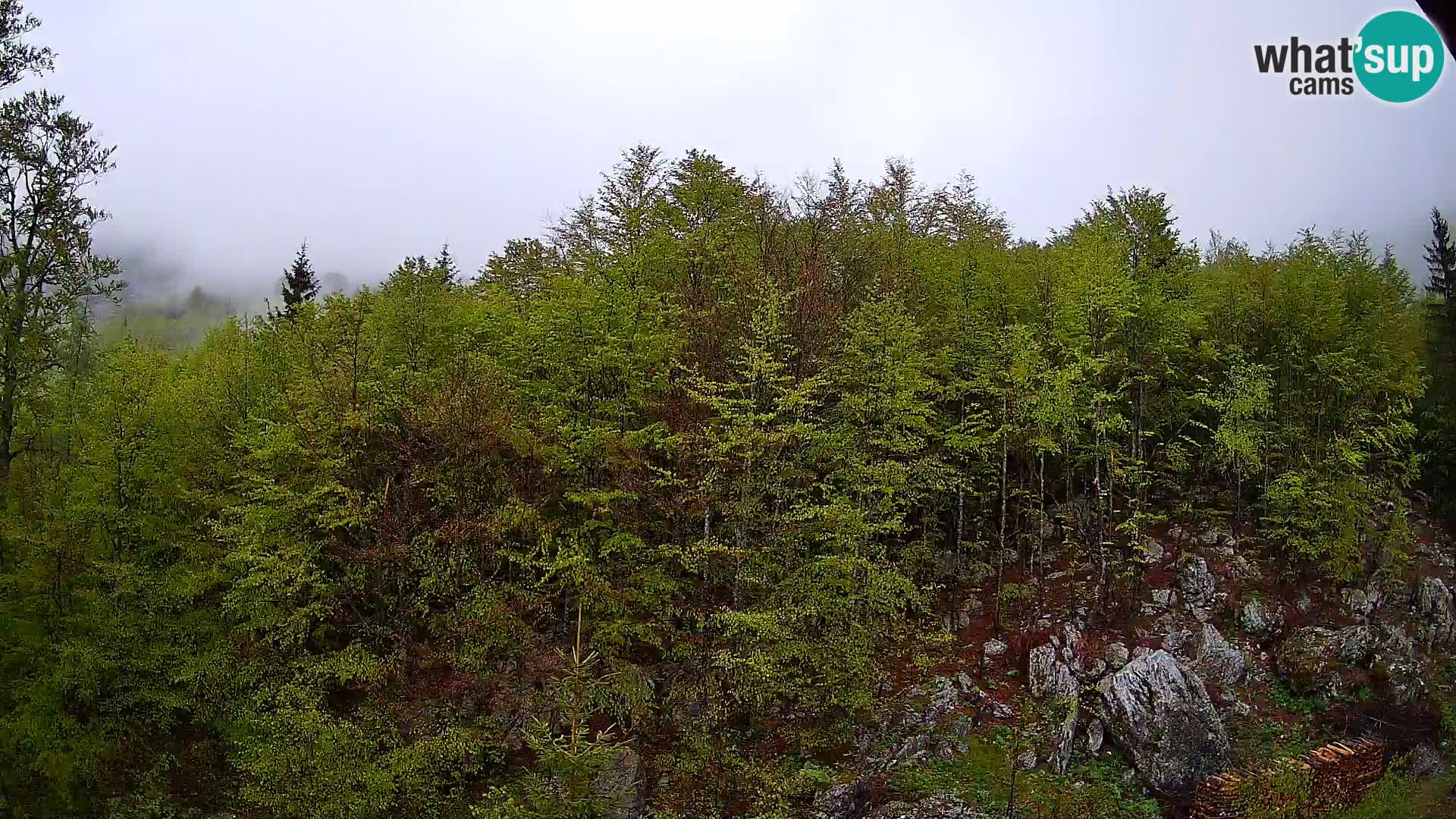 PLANINA RAZOR webcam (1315) | view to Vogel and Globoko