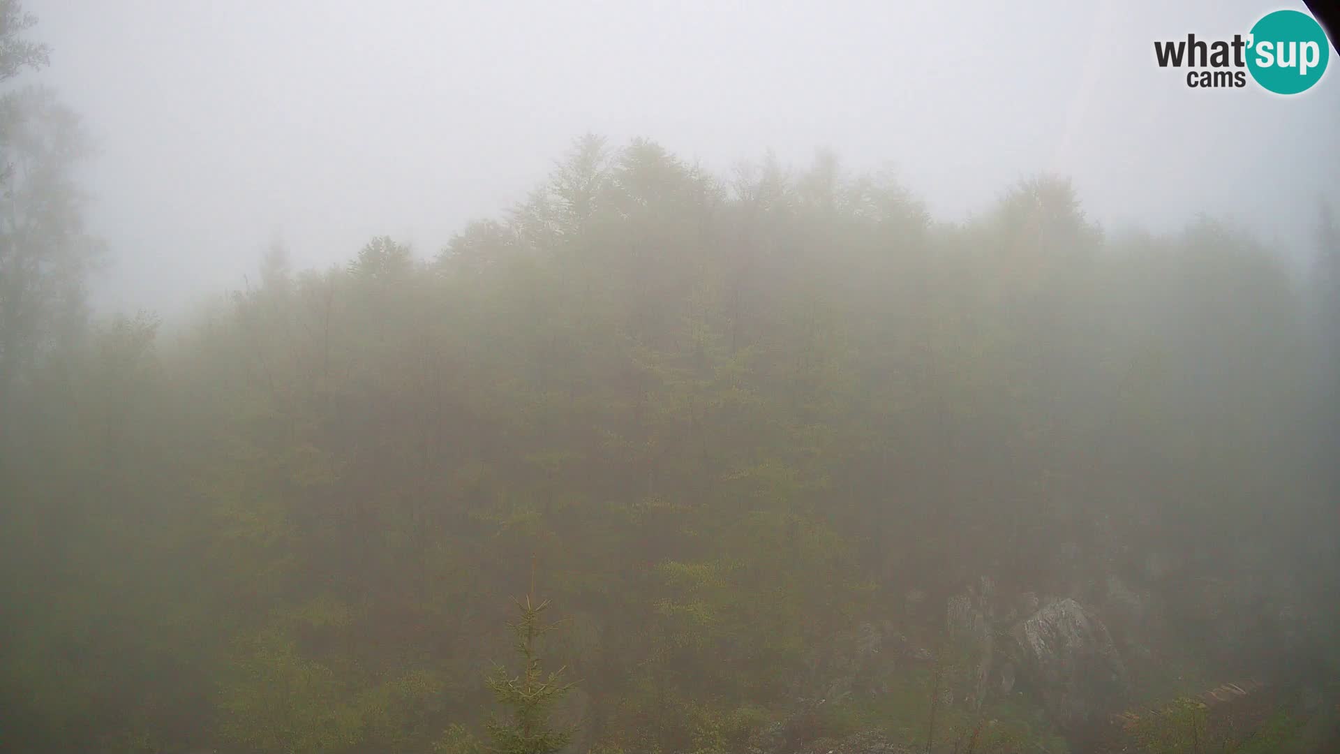 Webcam PLANINA RAZOR (1315) | Blick auf Vogel und Globoko