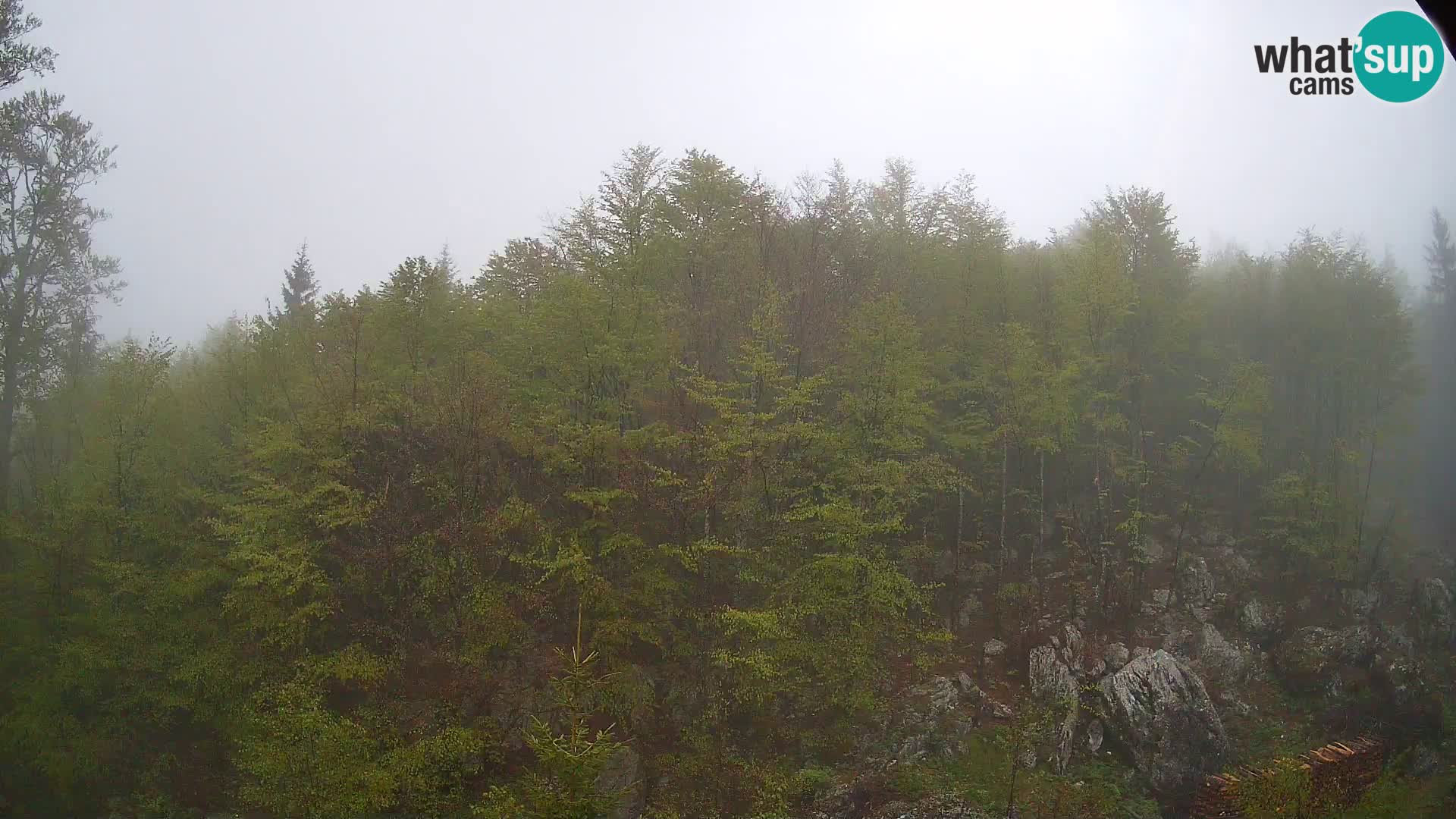 PLANINA RAZOR web kamera (1315) | pogled na Vogel i Globoko
