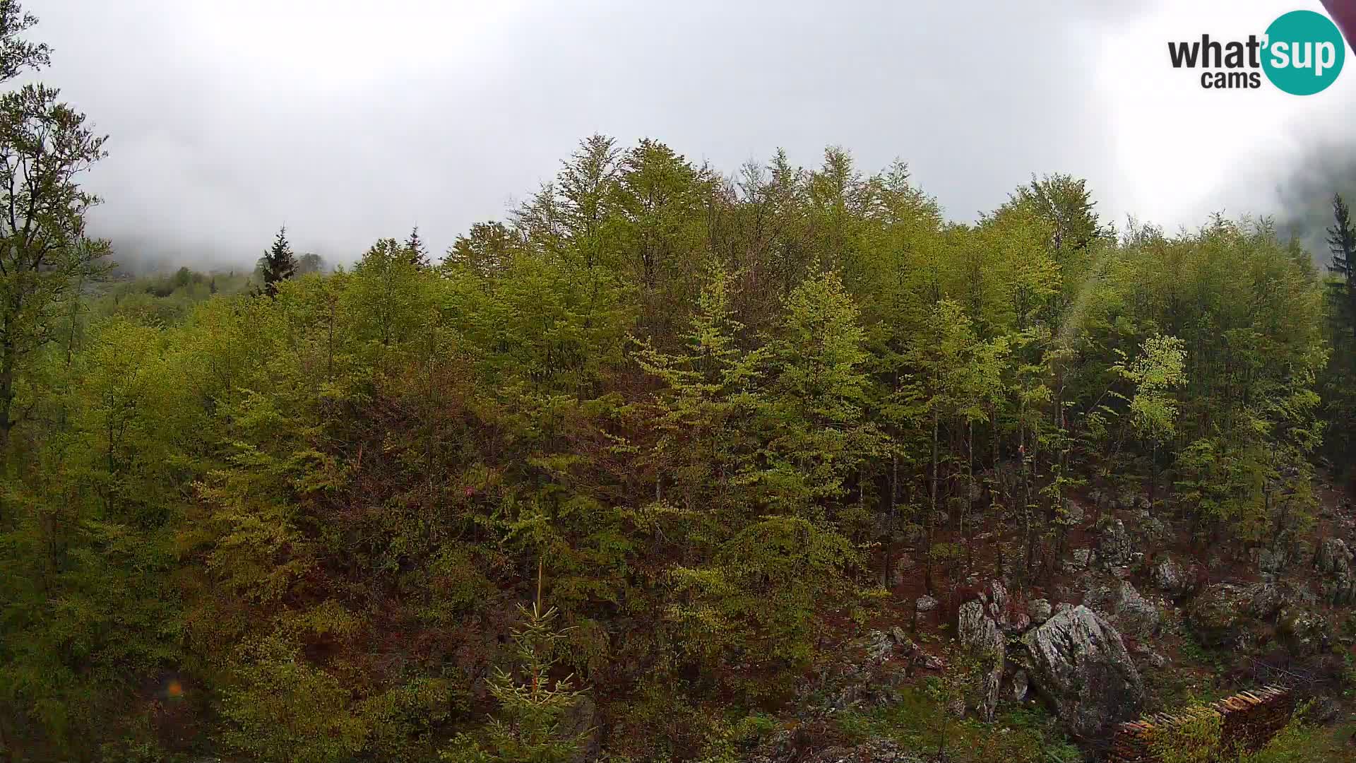 PLANINA RAZOR webcam (1315) | view to Vogel and Globoko