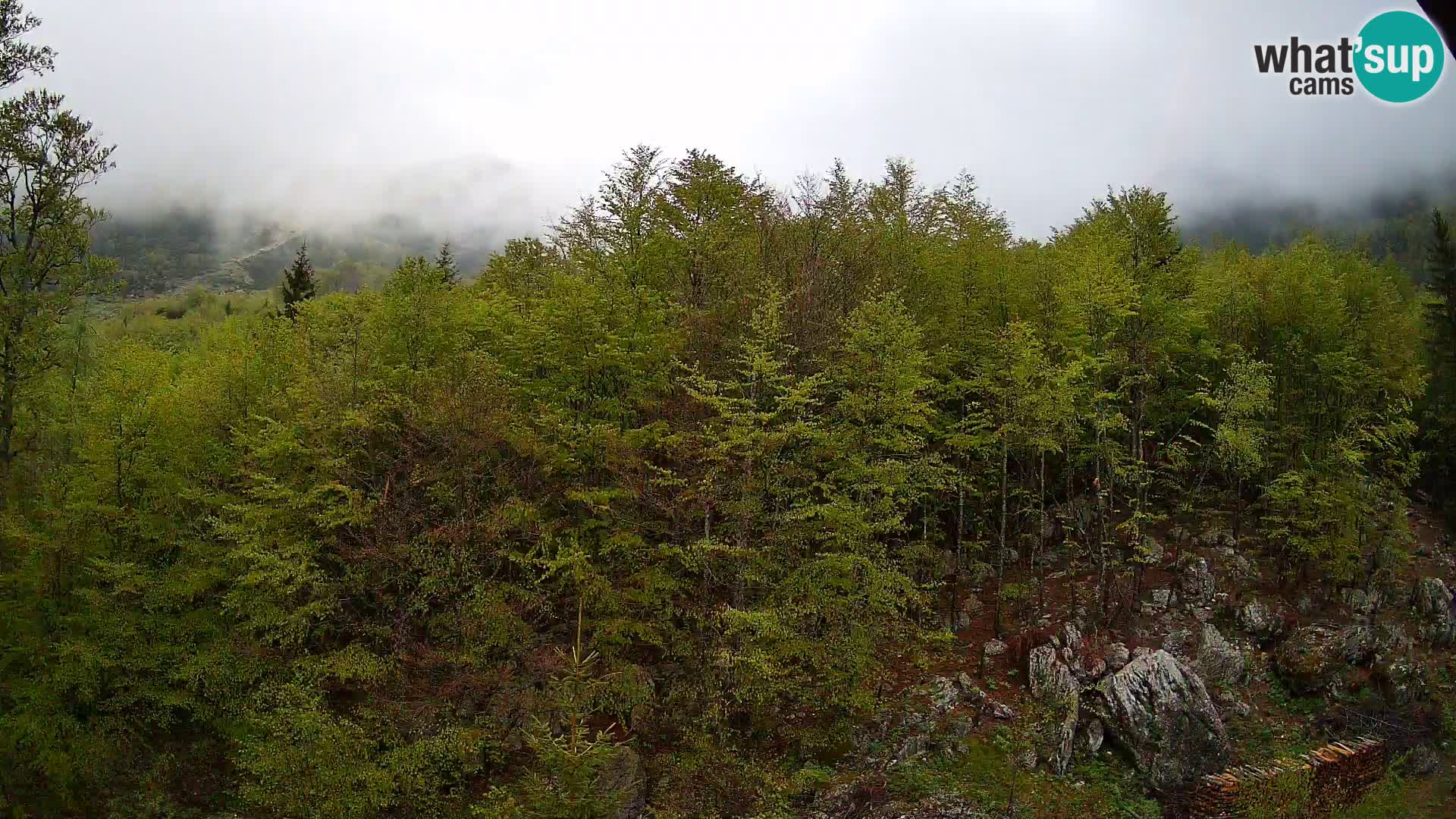 PLANINA RAZOR web kamera (1315) | pogled na Vogel i Globoko
