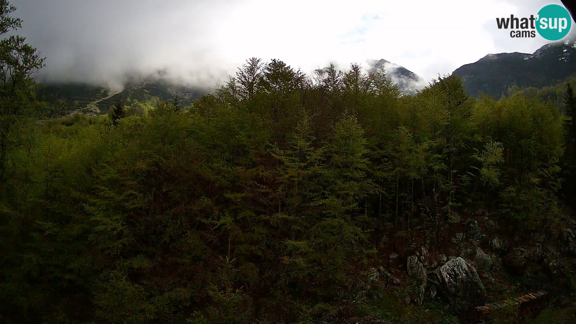 PLANINA RAZOR webcam (1315) | view to Vogel and Globoko
