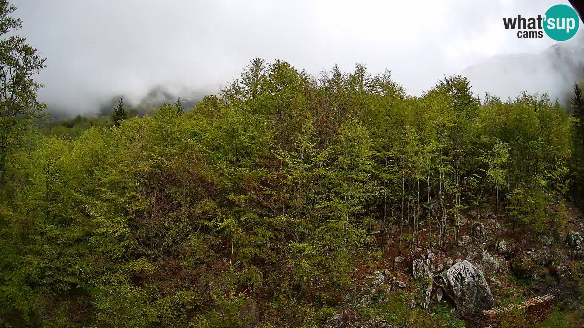 PLANINA RAZOR web kamera (1315) | pogled na Vogel i Globoko