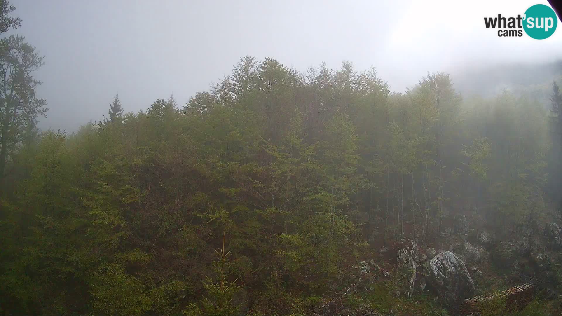 PLANINA RAZOR web kamera (1315) | pogled na Vogel i Globoko