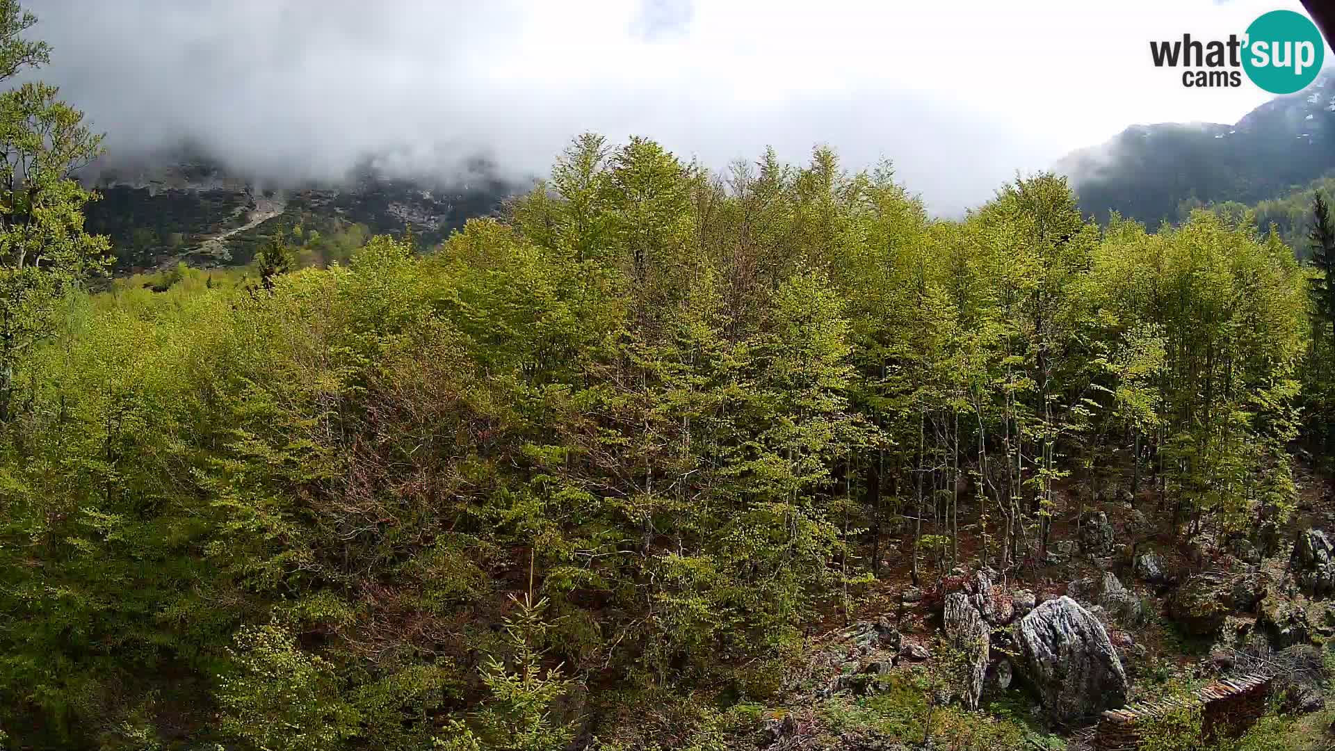 PLANINA RAZOR kamera (1315) | pogled na Vogel in Globoko