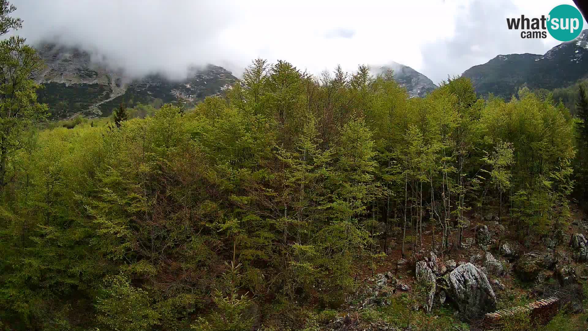 PLANINA RAZOR webcam (1315) | view to Vogel and Globoko