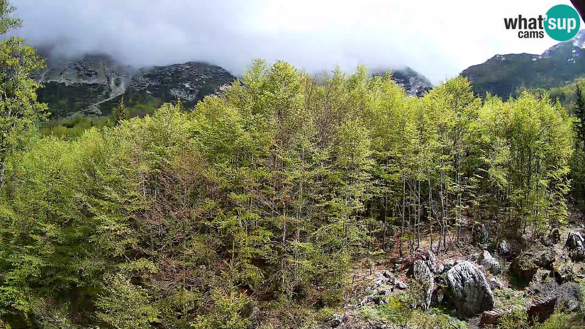 Cámara web PLANINA RAZOR (1315) | vista a Vogel y Globoko