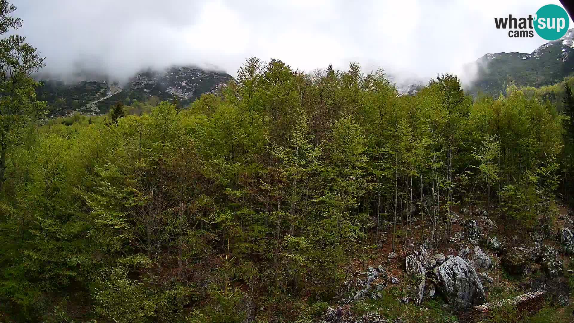 PLANINA RAZOR web kamera (1315) | pogled na Vogel i Globoko