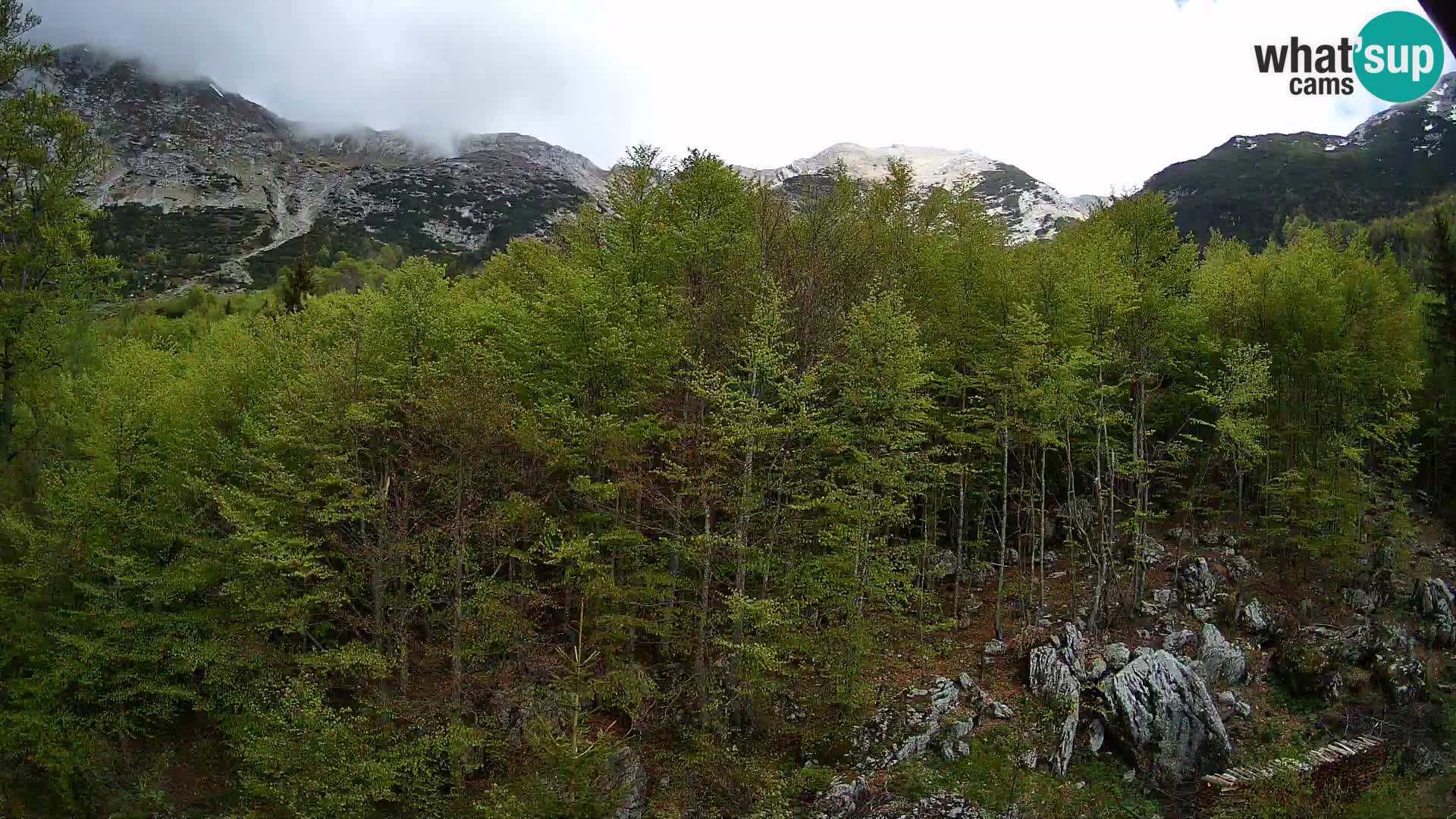 PLANINA RAZOR Live Cam (1315) | vista su Vogel e Globoko