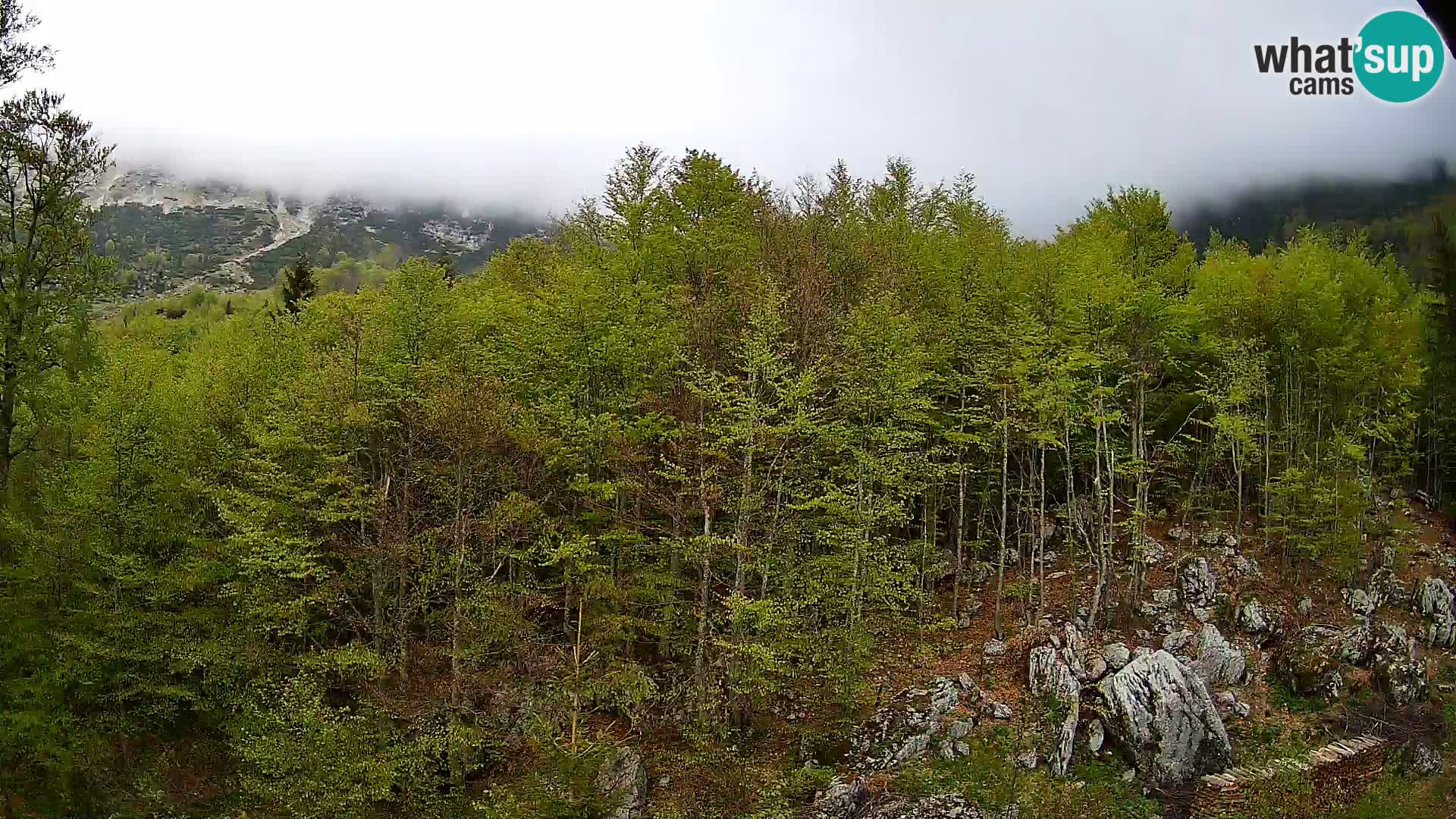 PLANINA RAZOR webcam (1315) | view to Vogel and Globoko