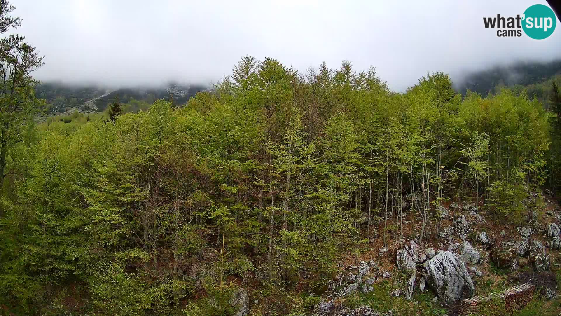 PLANINA RAZOR webcam (1315) | view to Vogel and Globoko