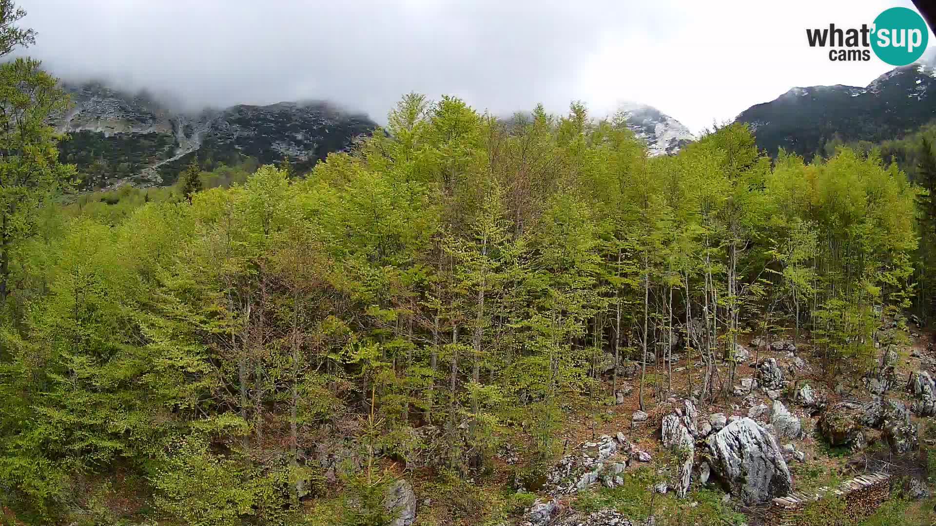 PLANINA RAZOR kamera (1315) | pogled na Vogel in Globoko
