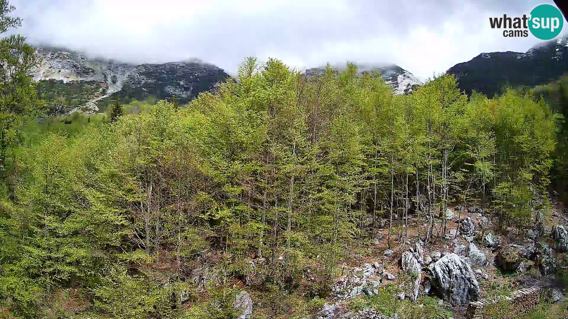 PLANINA RAZOR web kamera (1315) | pogled na Vogel i Globoko