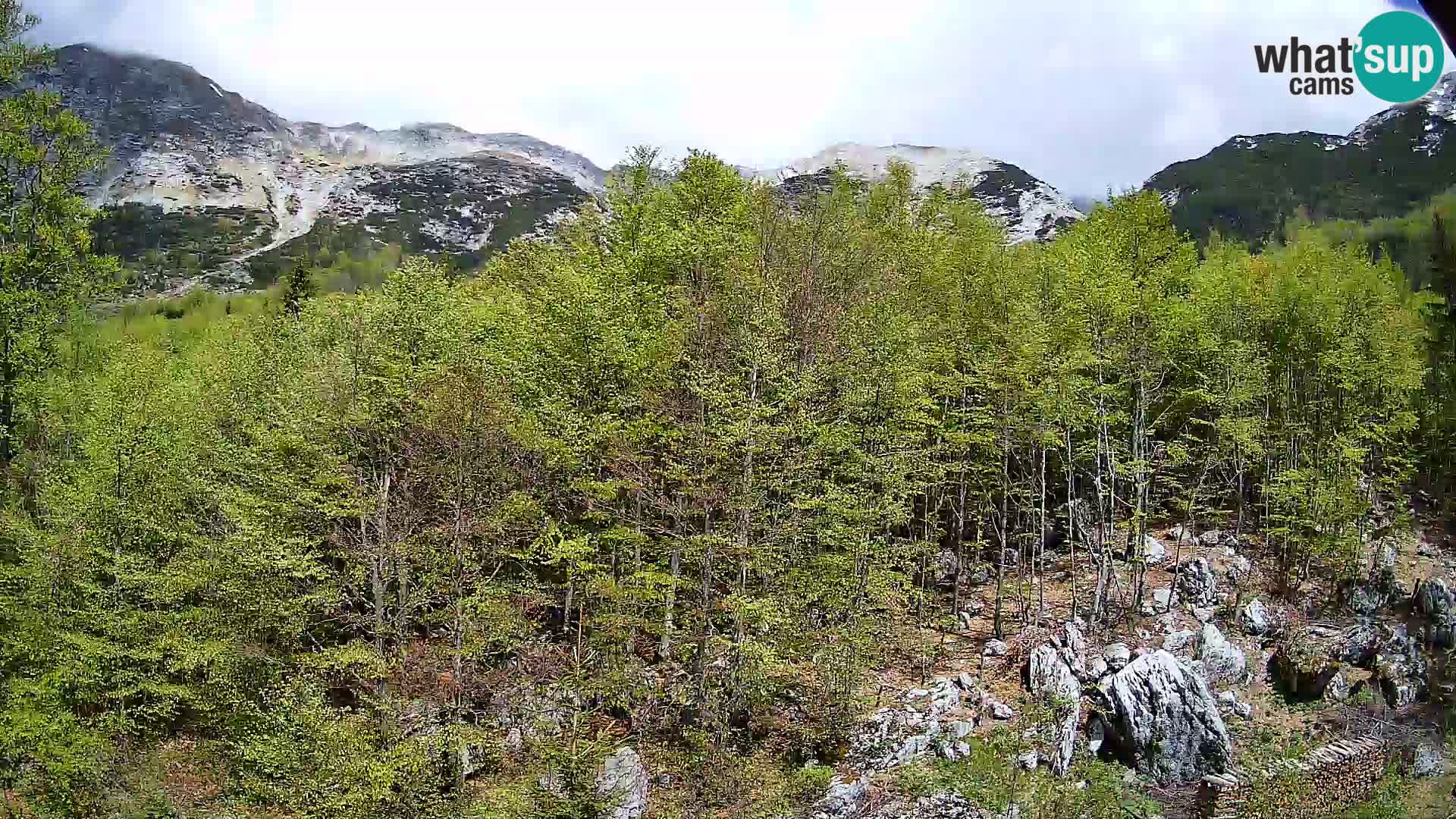 PLANINA RAZOR webcam (1315) | view to Vogel and Globoko