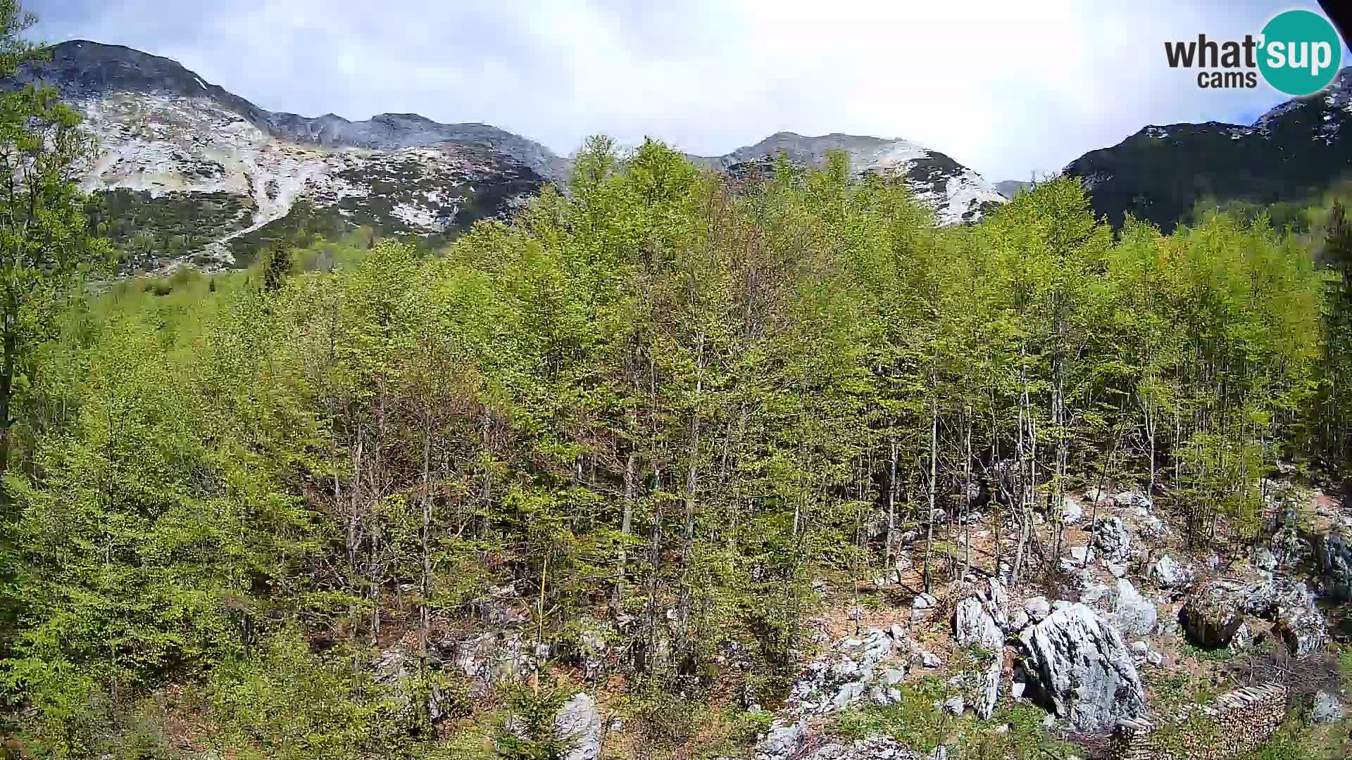 PLANINA RAZOR webcam (1315) | view to Vogel and Globoko