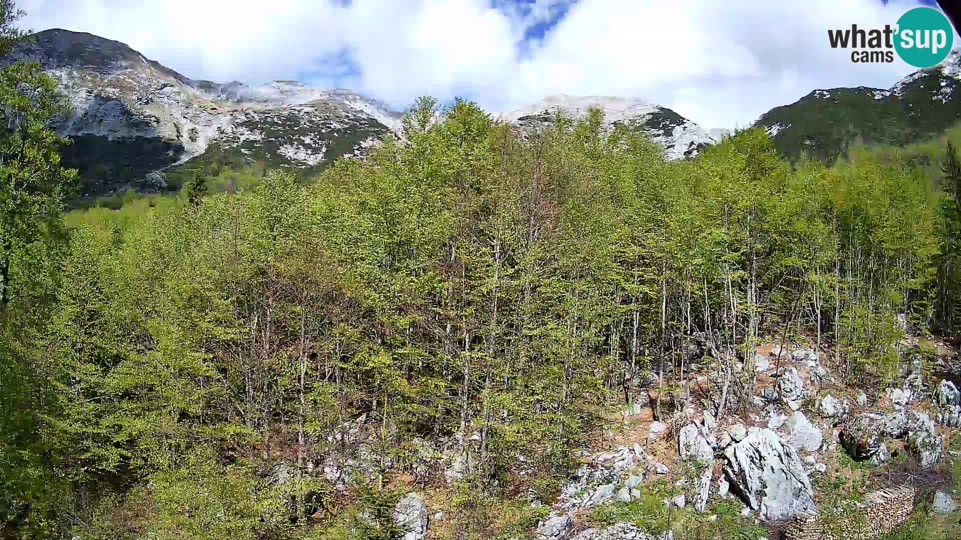 Livecam PLANINA RAZOR (1315) | vue sur Vogel et Globoko