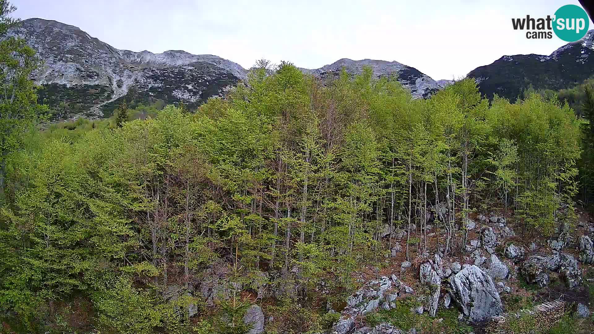 PLANINA RAZOR kamera (1315) | pogled na Vogel in Globoko