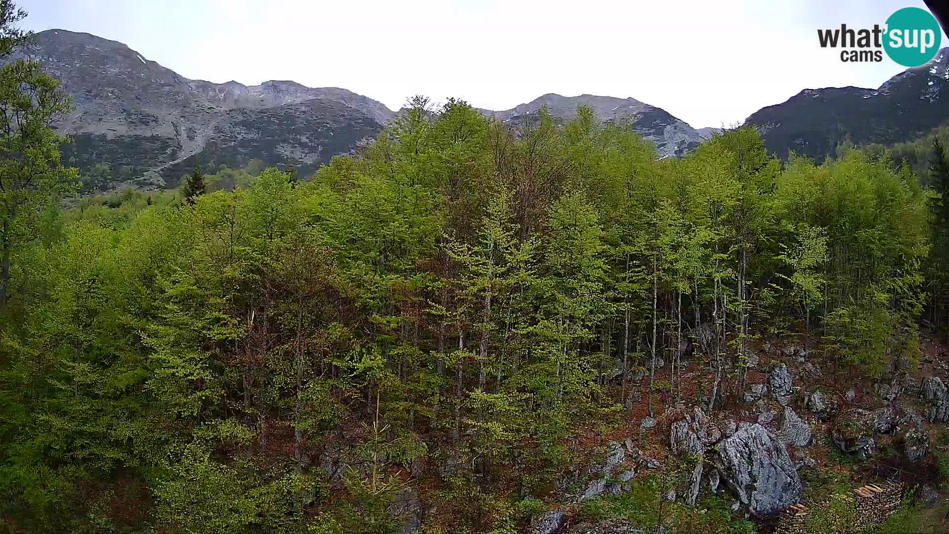 Webcam PLANINA RAZOR (1315) | Blick auf Vogel und Globoko