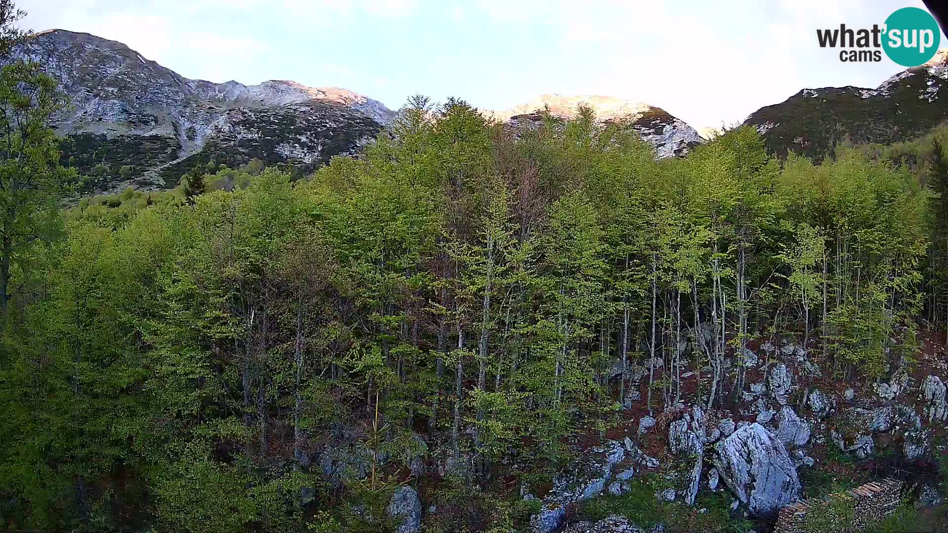 Livecam PLANINA RAZOR (1315) | vue sur Vogel et Globoko