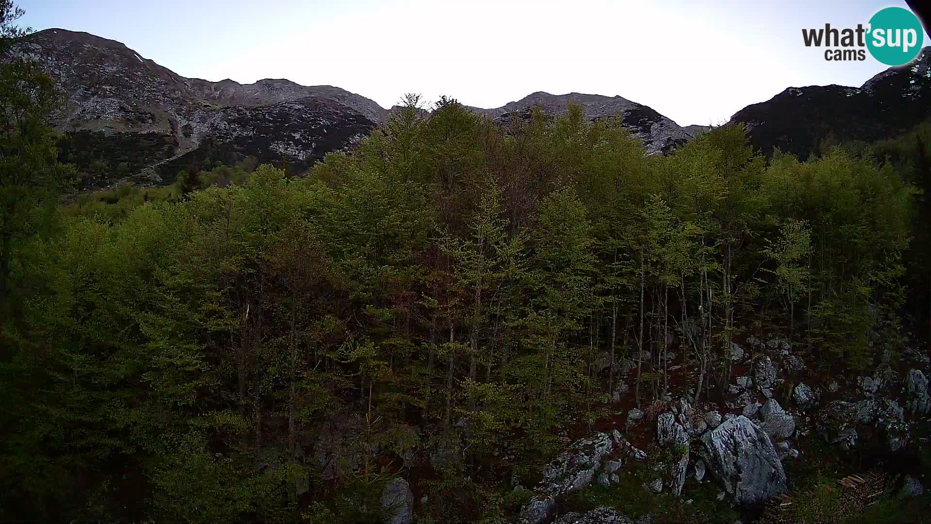 PLANINA RAZOR webcam (1315) | view to Vogel and Globoko